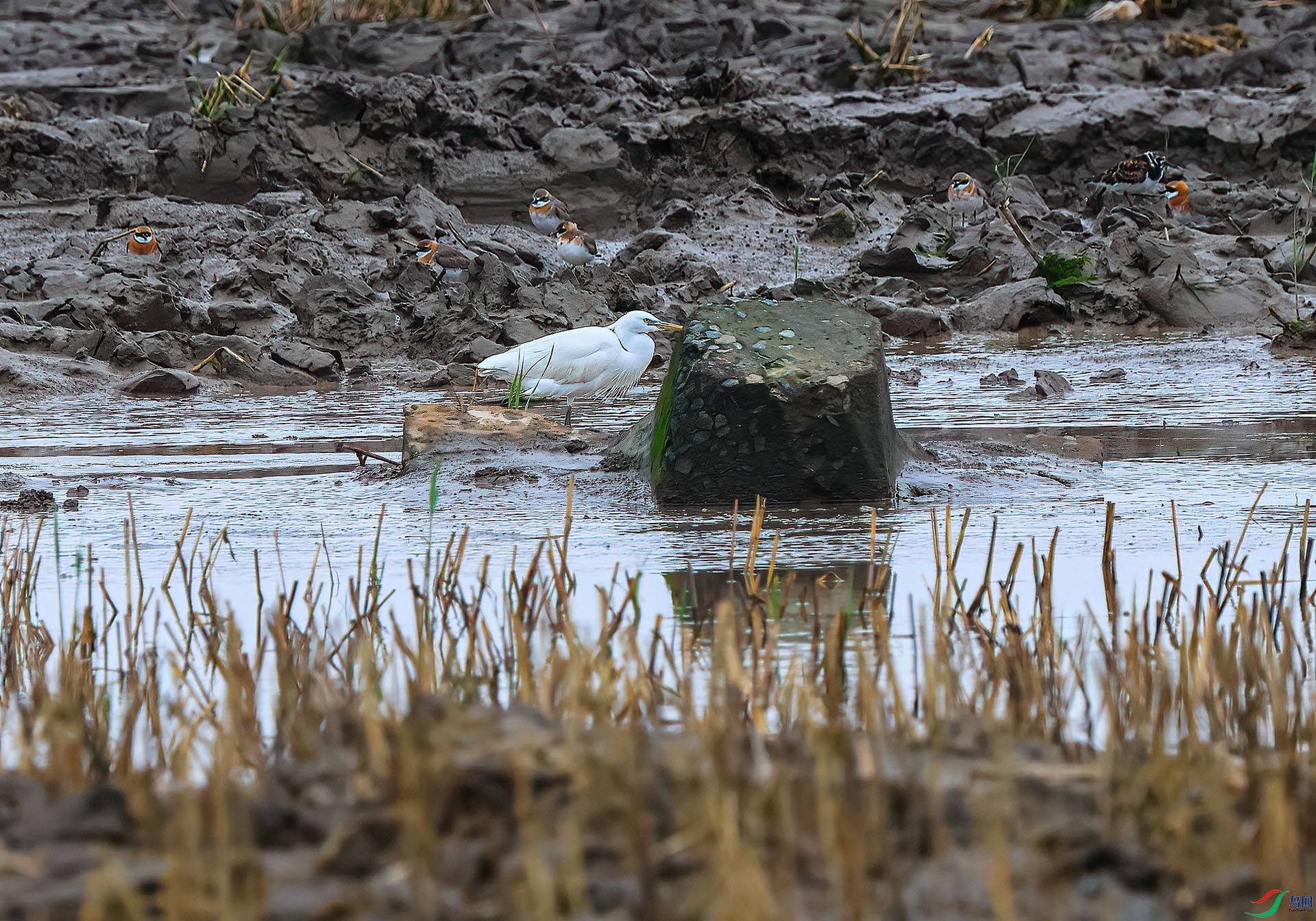 _W4A3728_new _small1.jpg