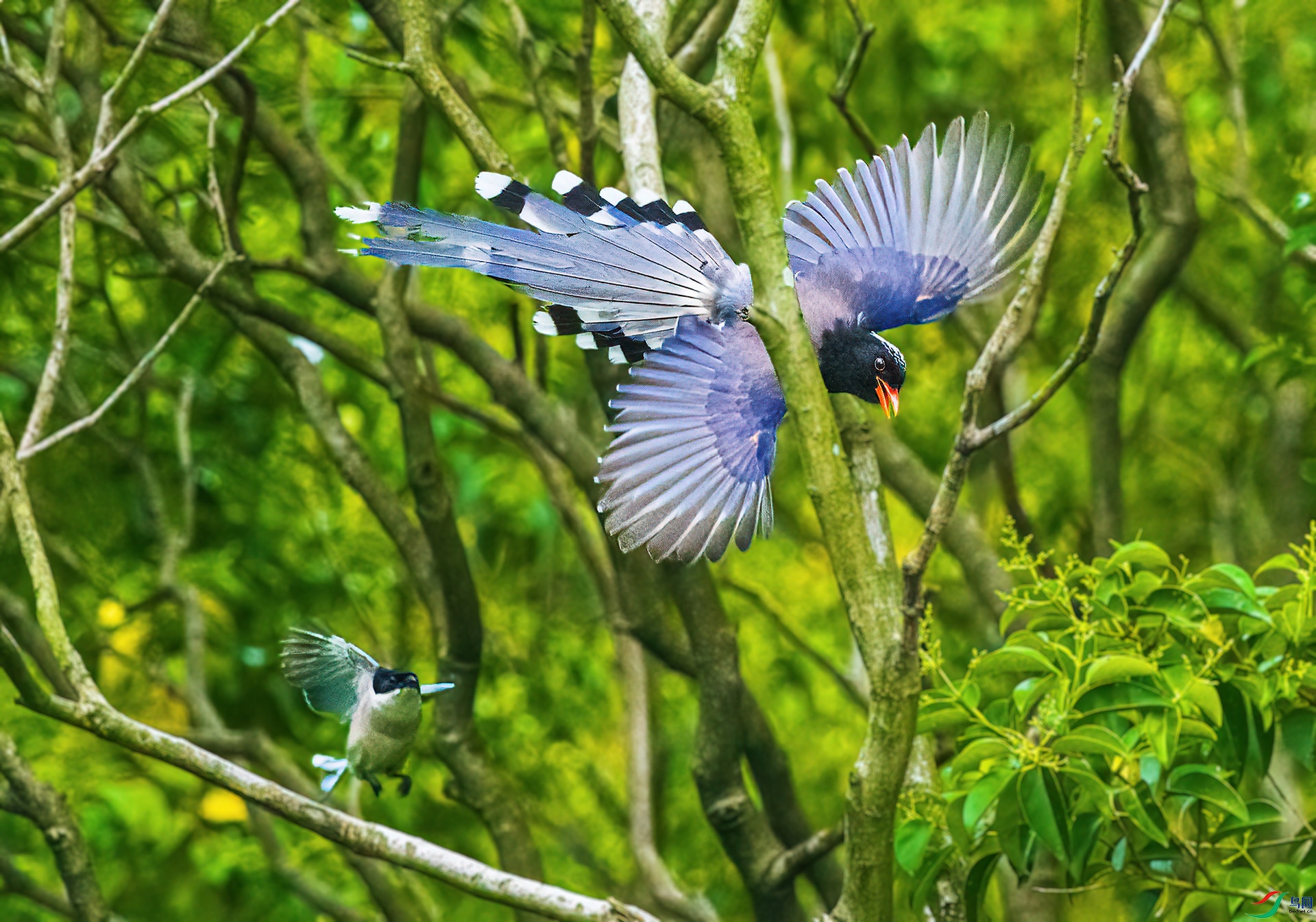 CSI_5475_new _small.jpg