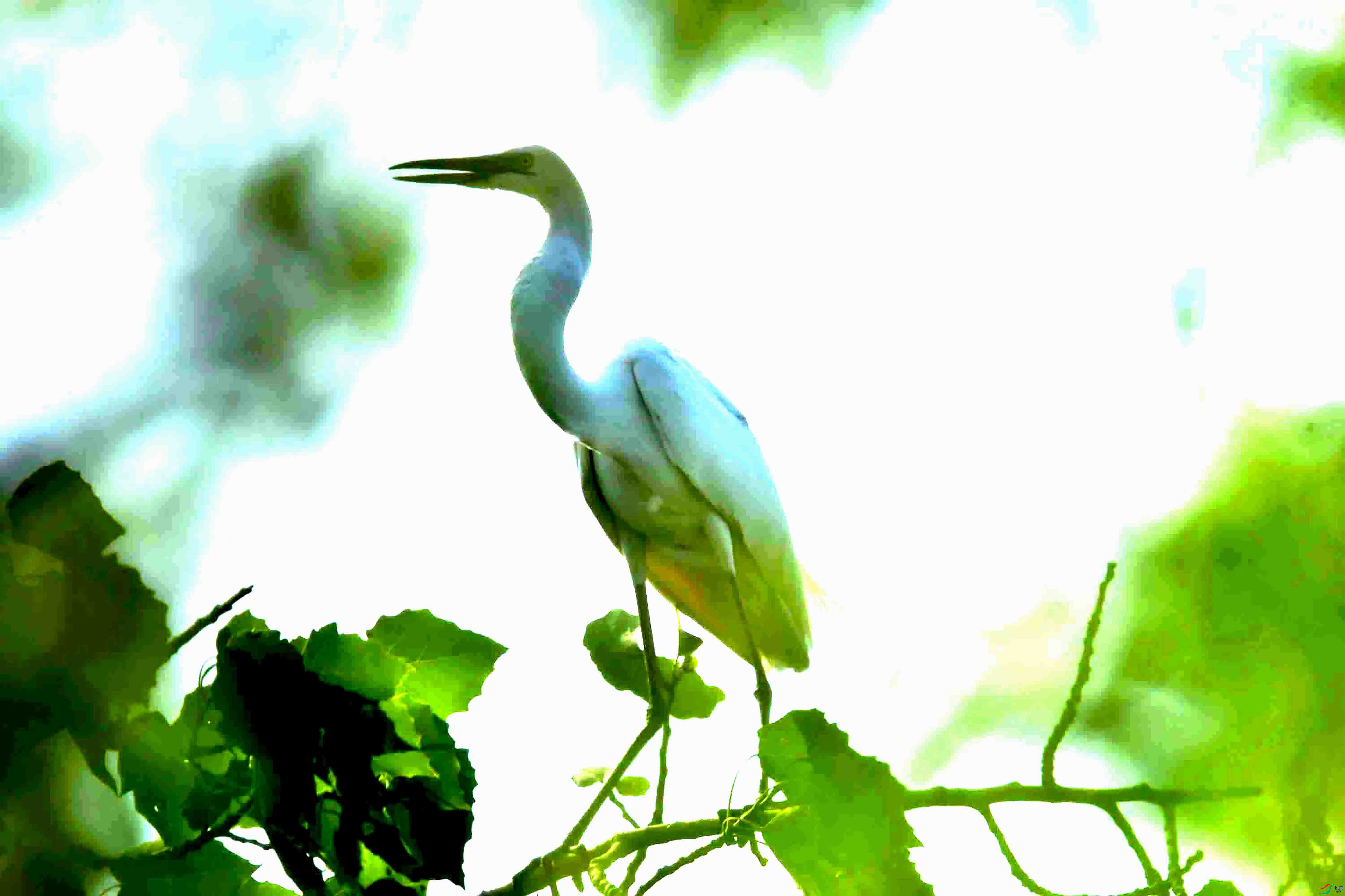 DSC_3053.JPG
