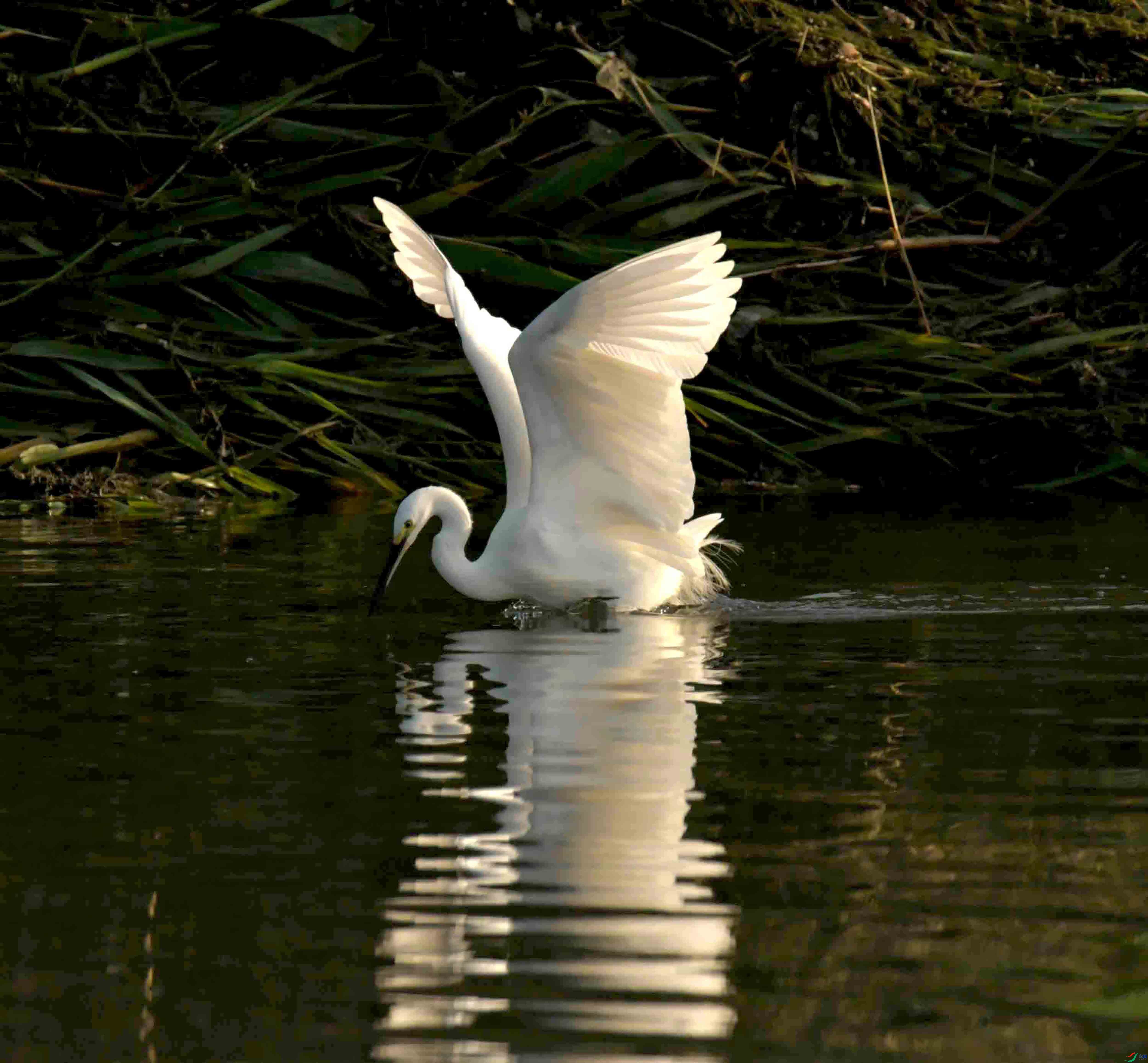 DSC_3058.JPG