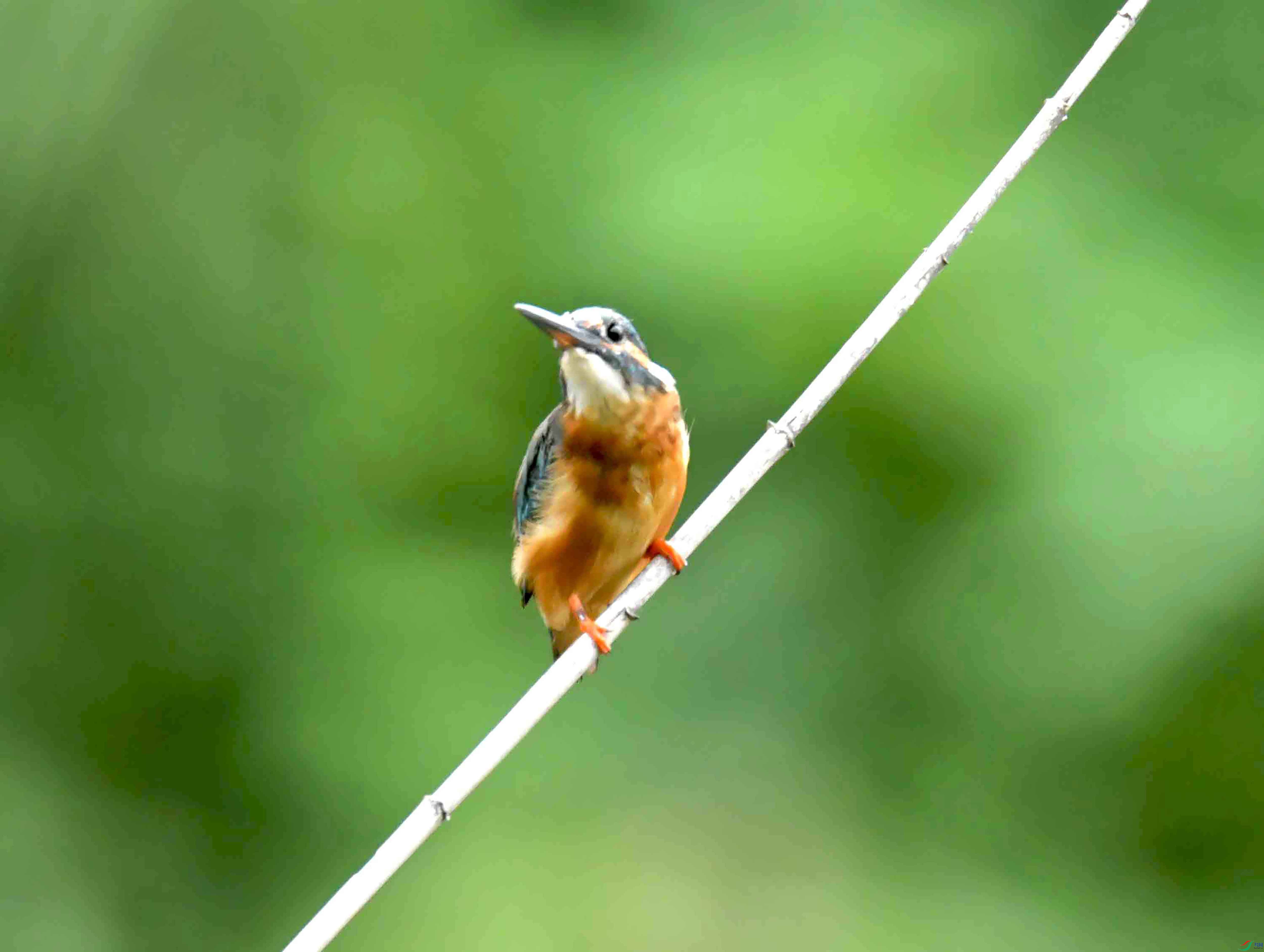 DSC_1359.JPG