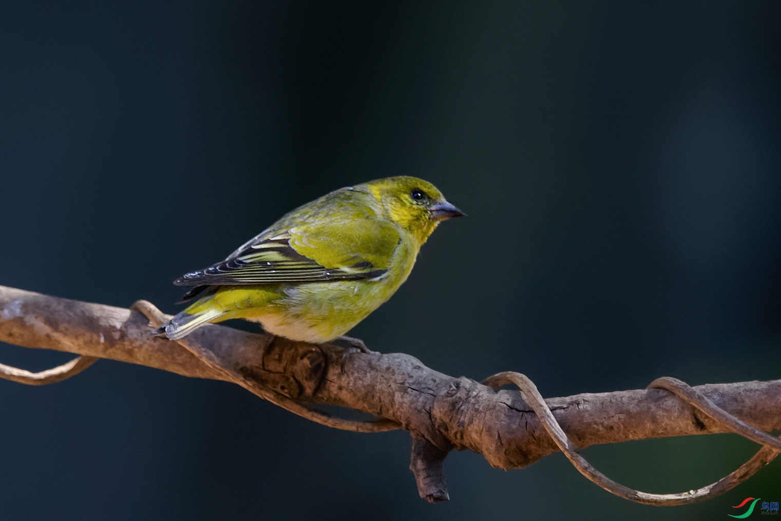 3DSC_8480_DxOa.jpg