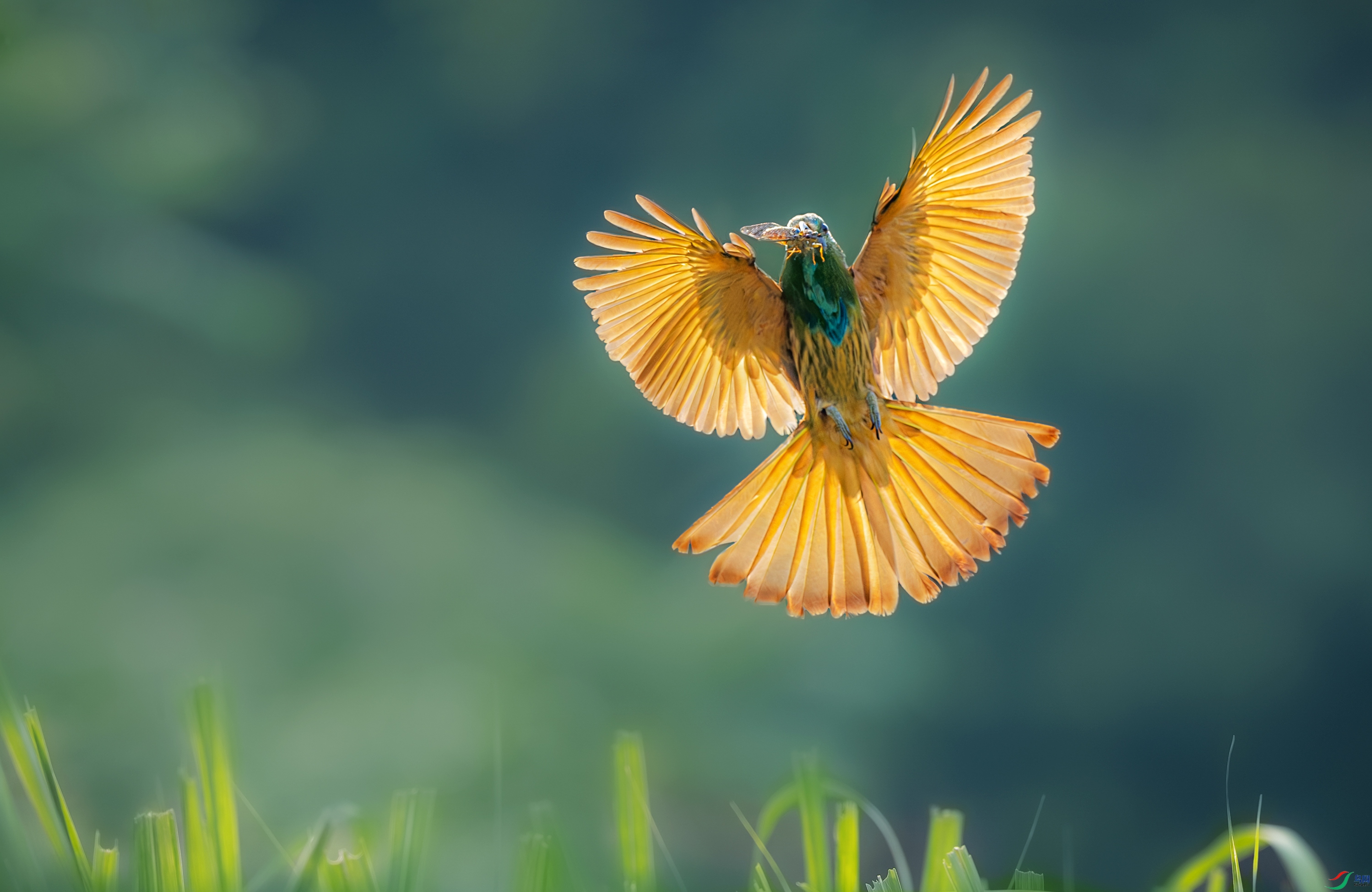 _YH_1768-����ǿ-NR-1-1-22.jpg