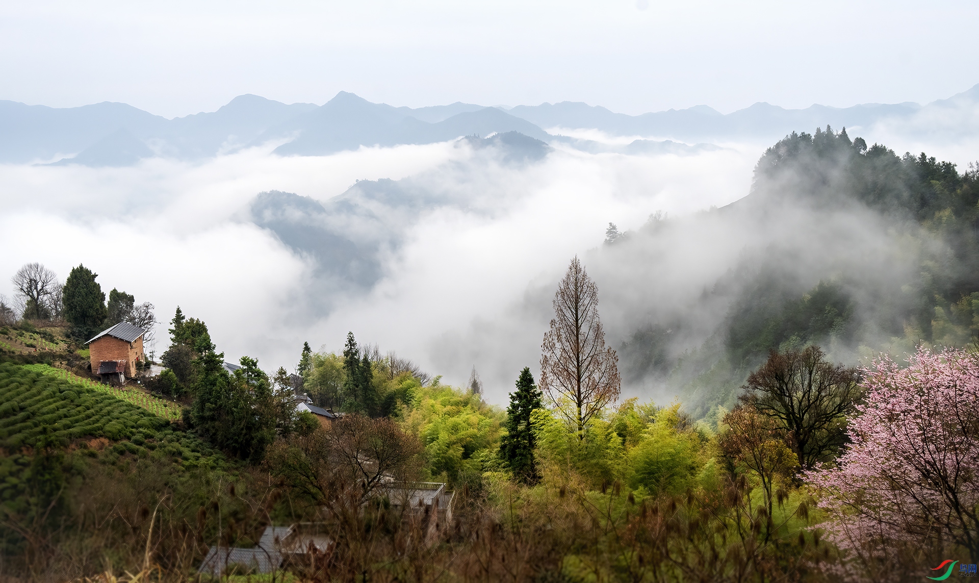 DSC_8672 - ��ɽ.jpg