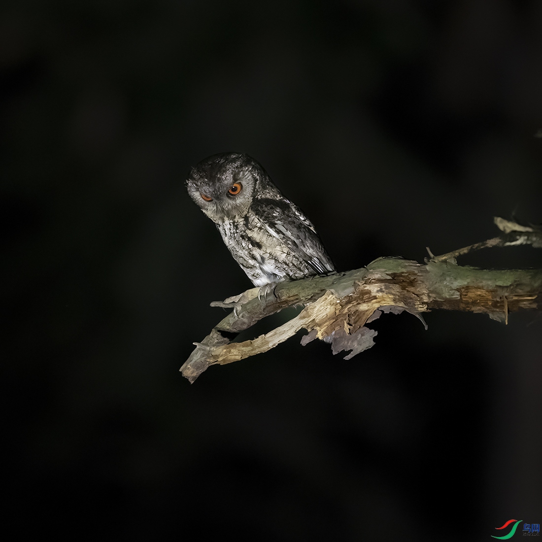 A46I1302 ����.psd2 ����.psd22.jpg