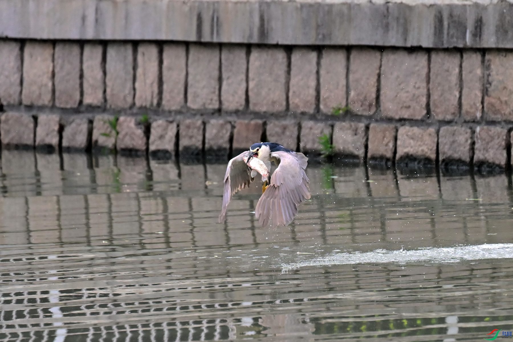 YZH_3039.jpg
