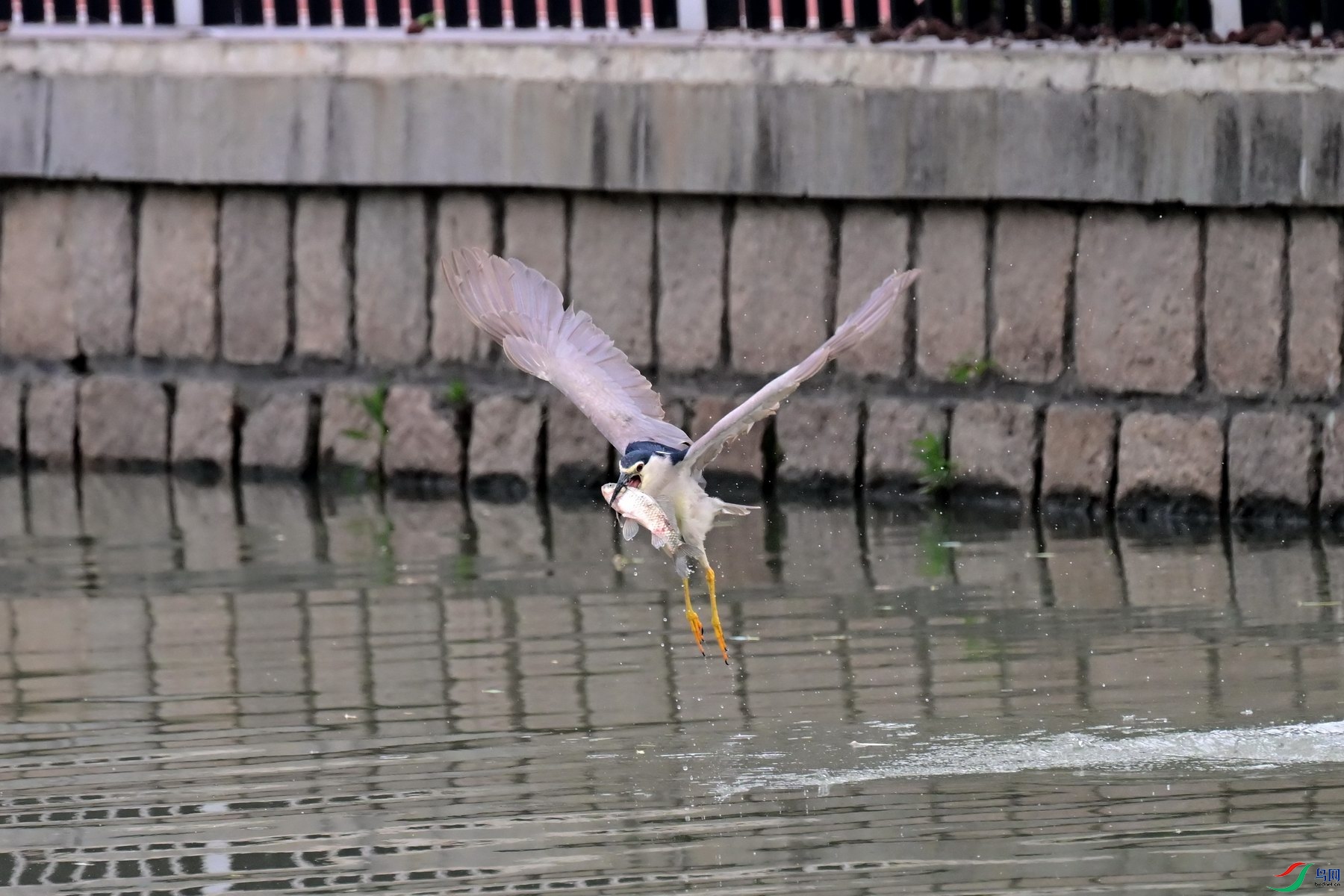 YZH_3041.jpg