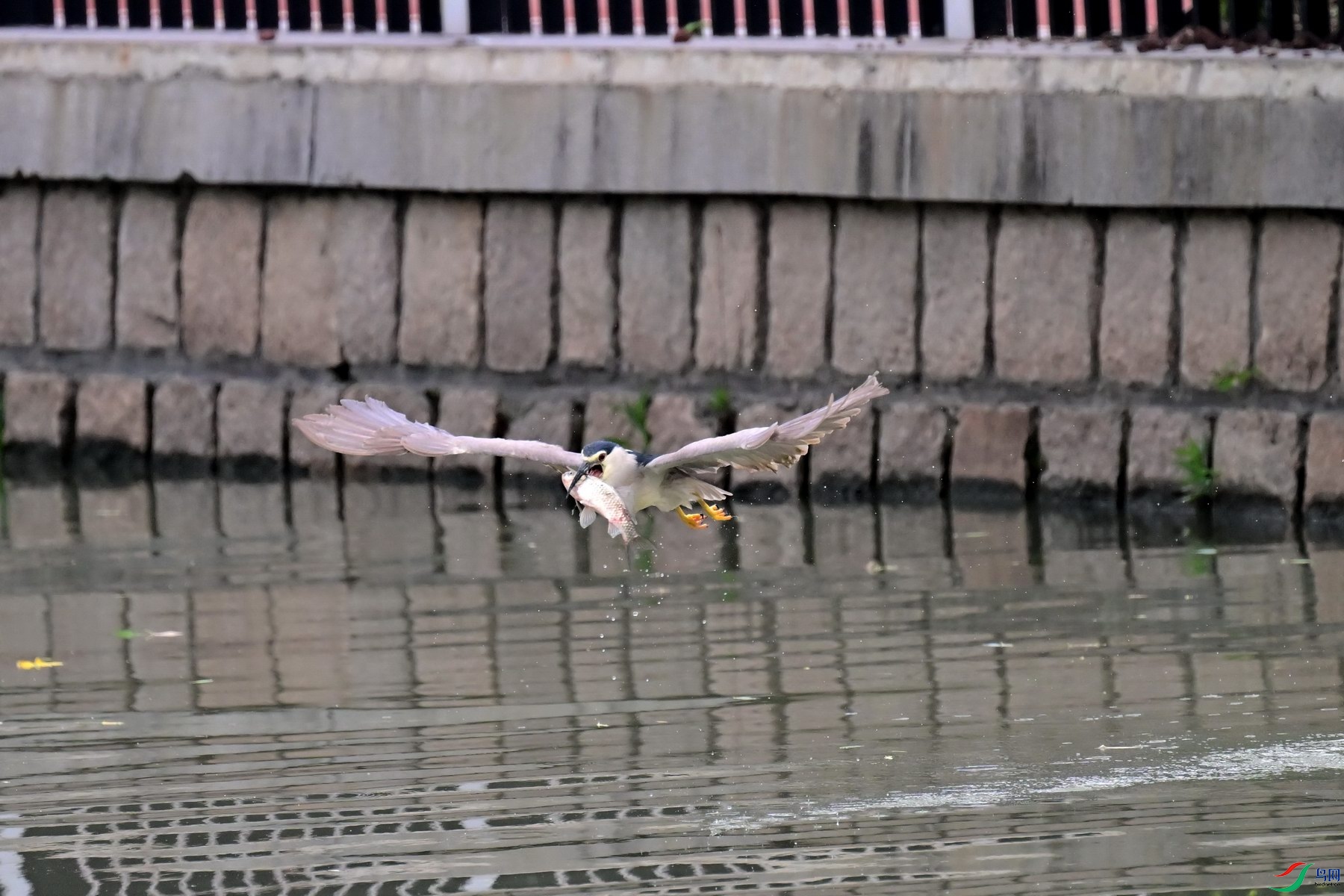 YZH_3046.jpg