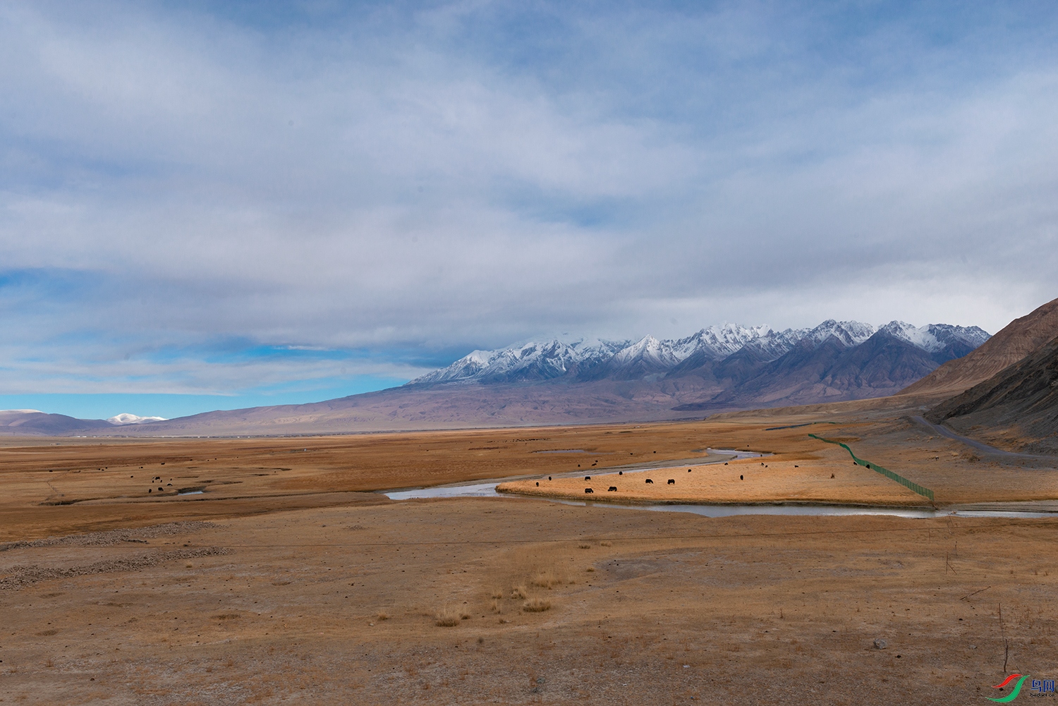 DSC_0052.jpg