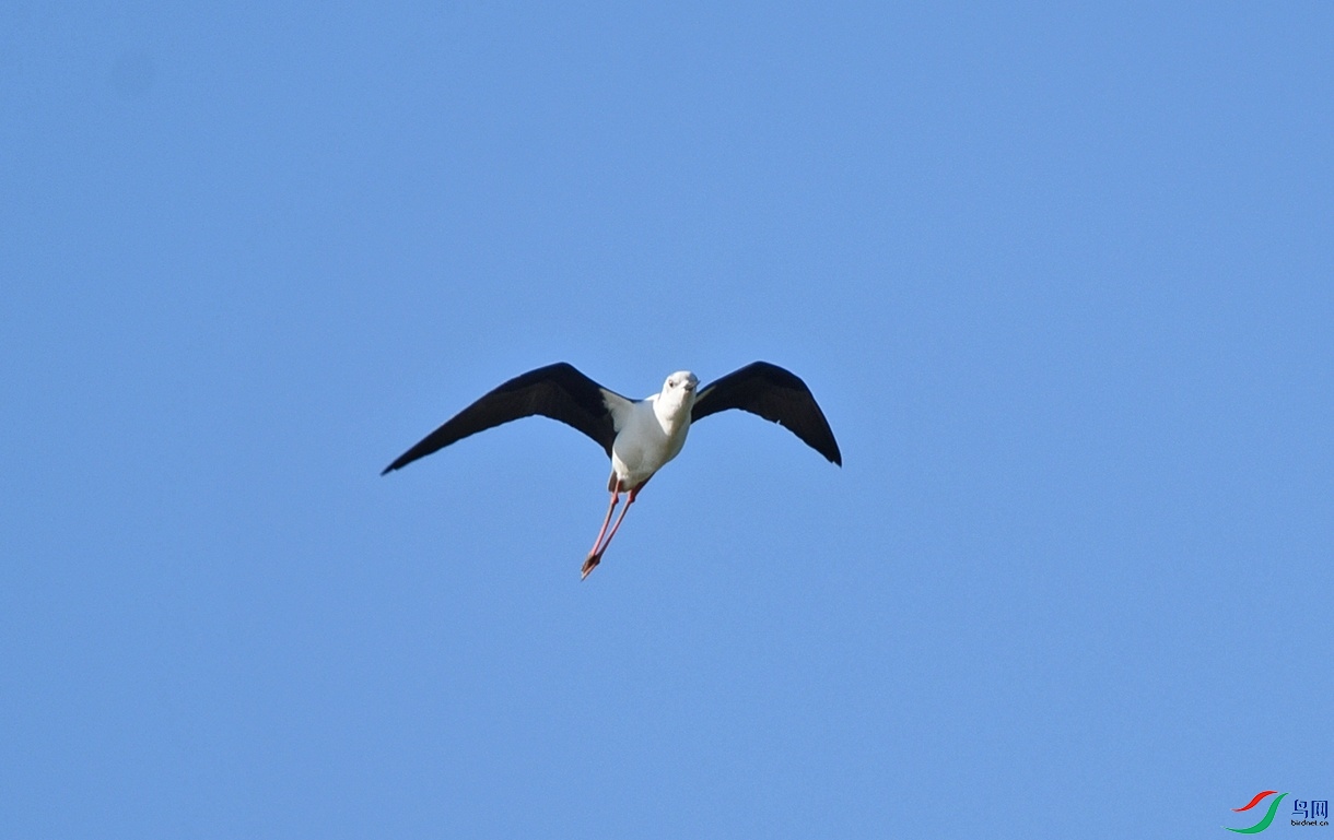 DSC_5139�ɰ�ڳ�.jpg