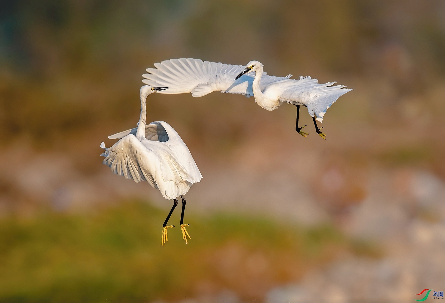 DSC_0013 ����_����.jpg