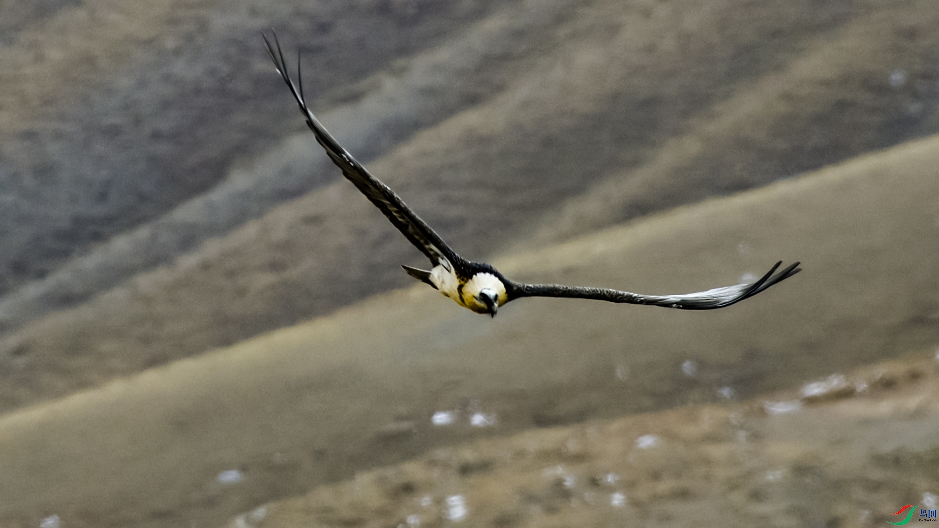 _DSC4489.JPG