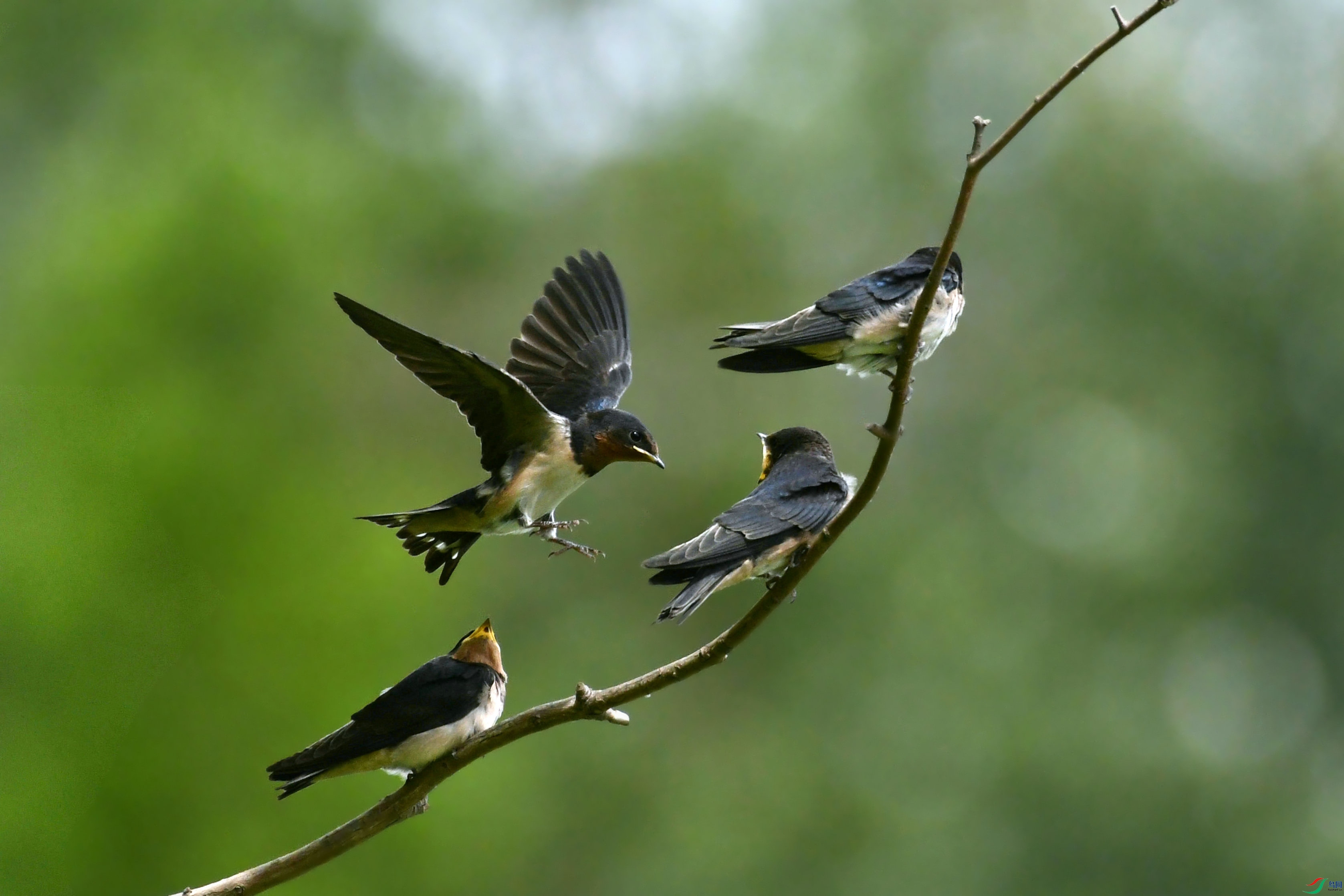 DSC_1376.JPG