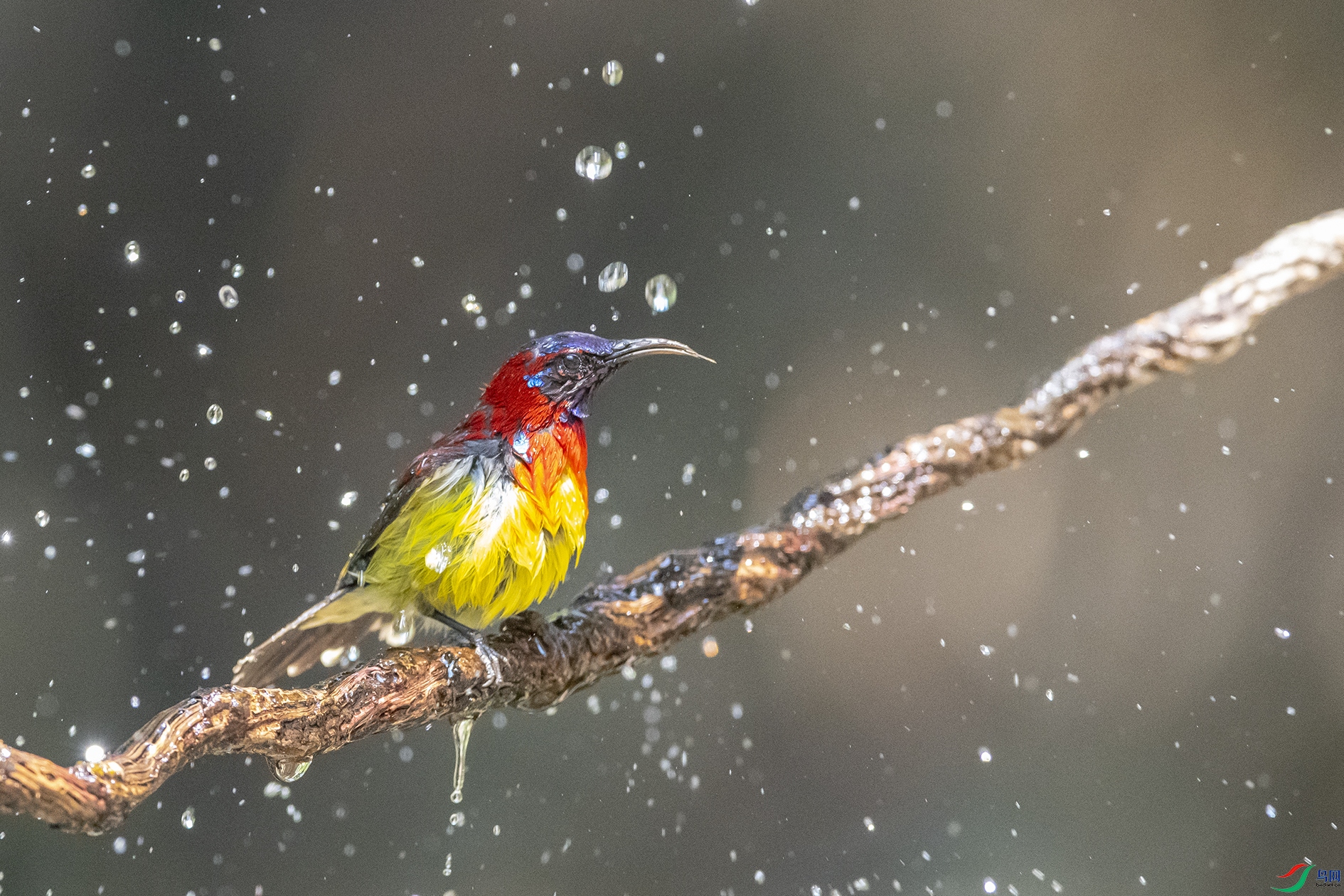 2587 ����.jpg