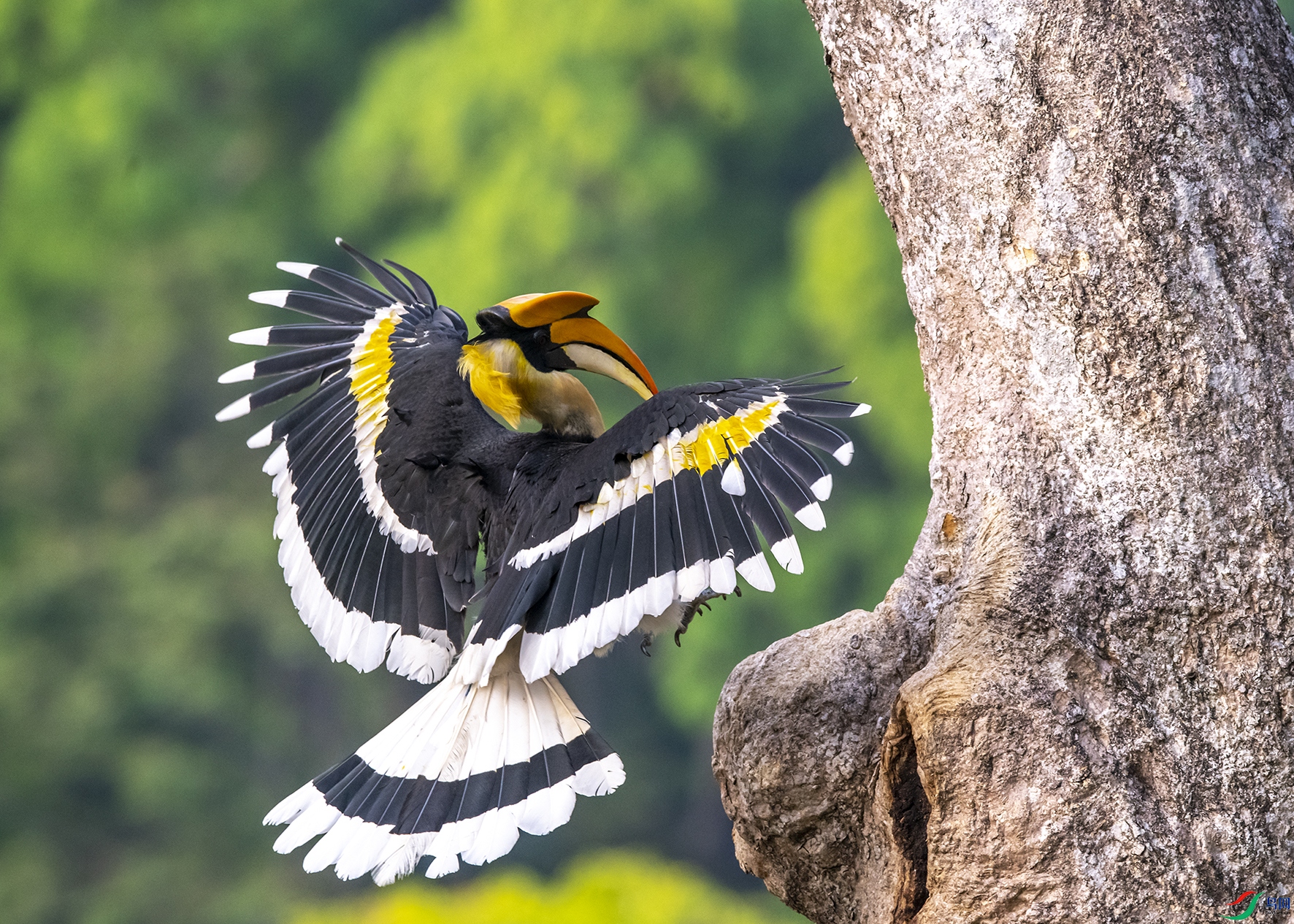 4847 ����.jpg