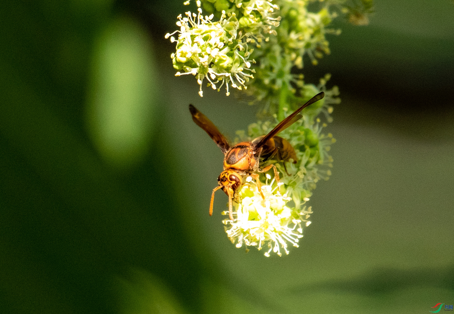 DSC_7041.jpg