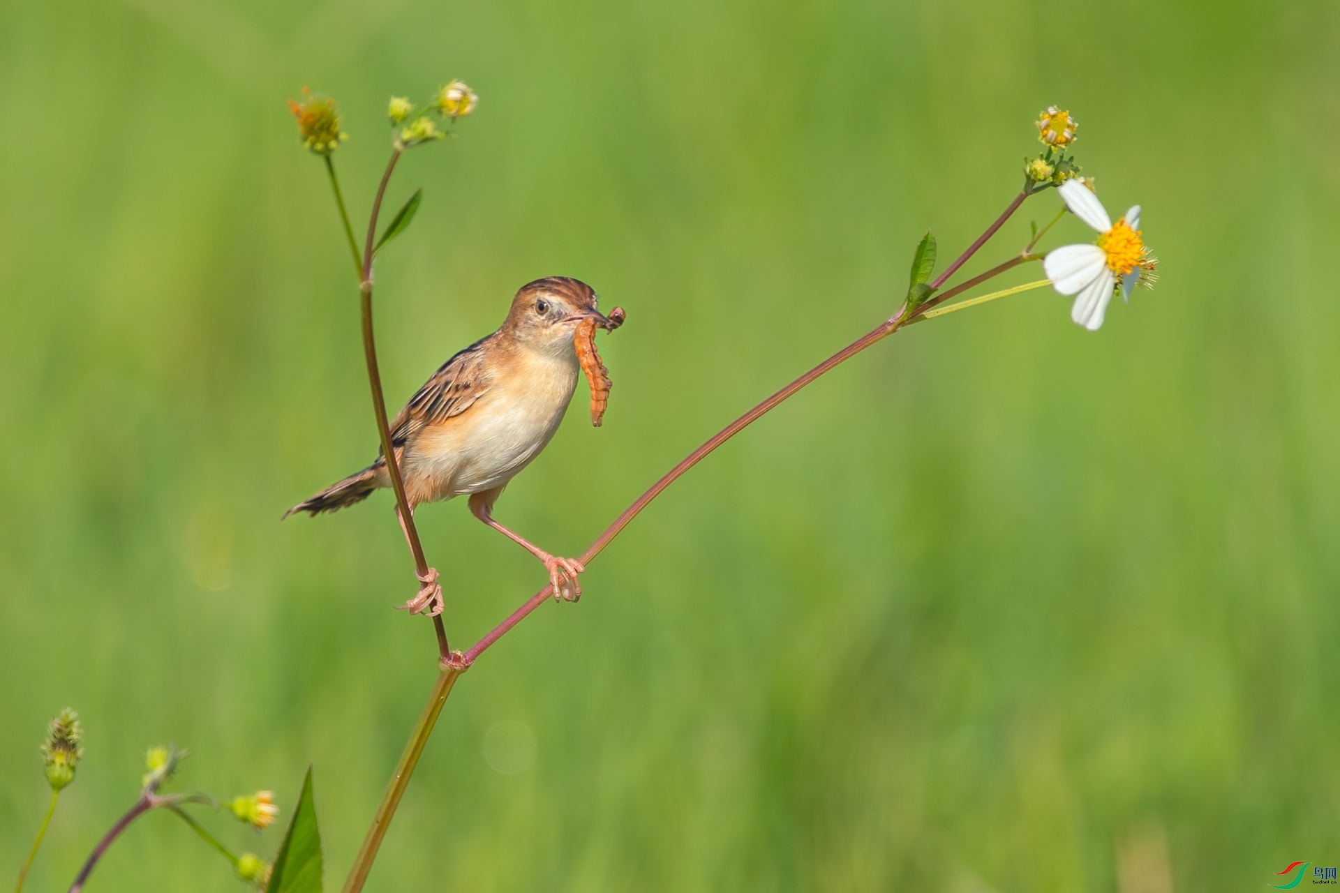 B86I4230 _����.jpg