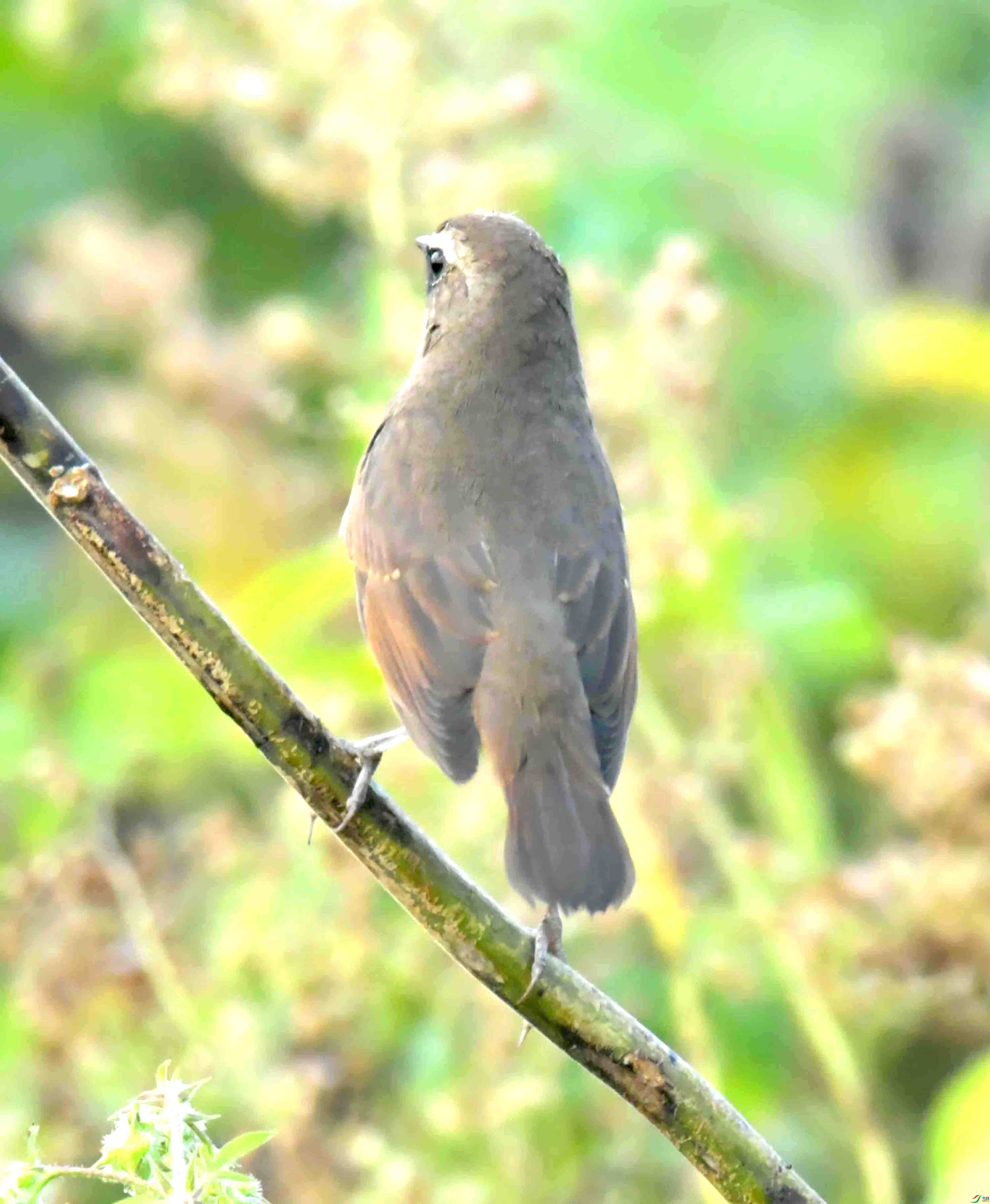 DSC_7645.JPG