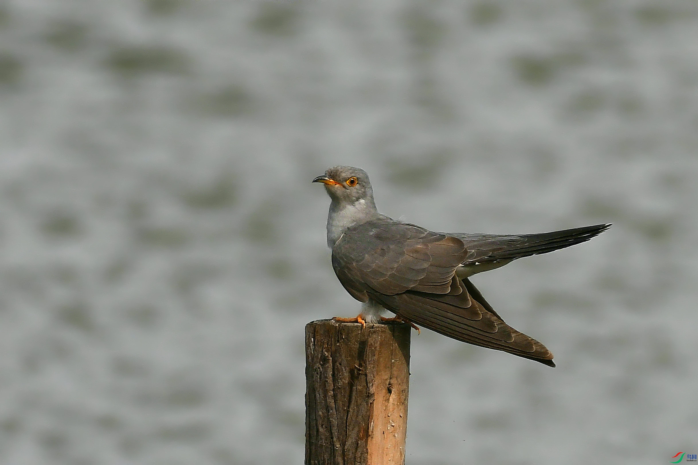 DSC_0674.JPG