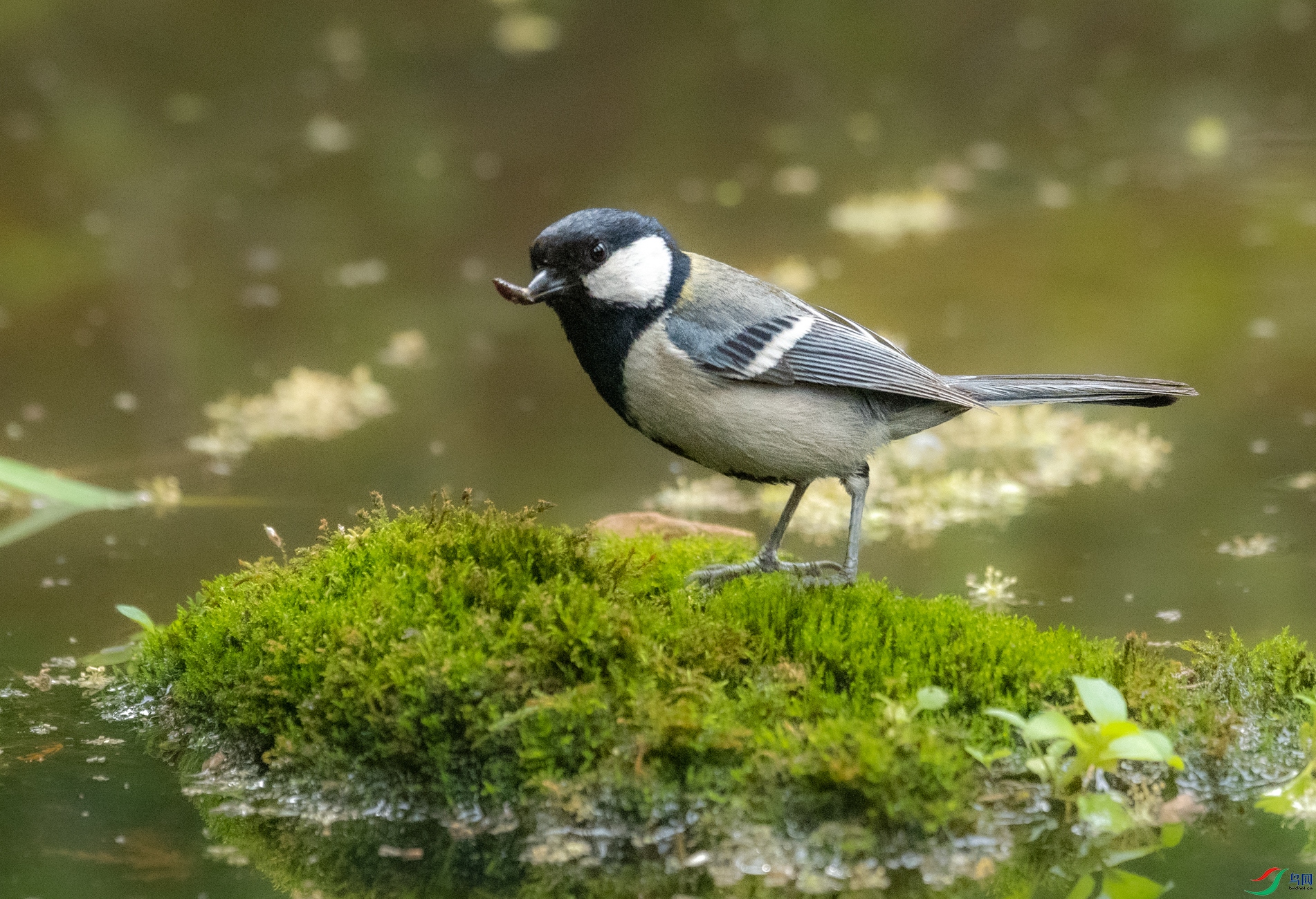 DSC_6476.jpg