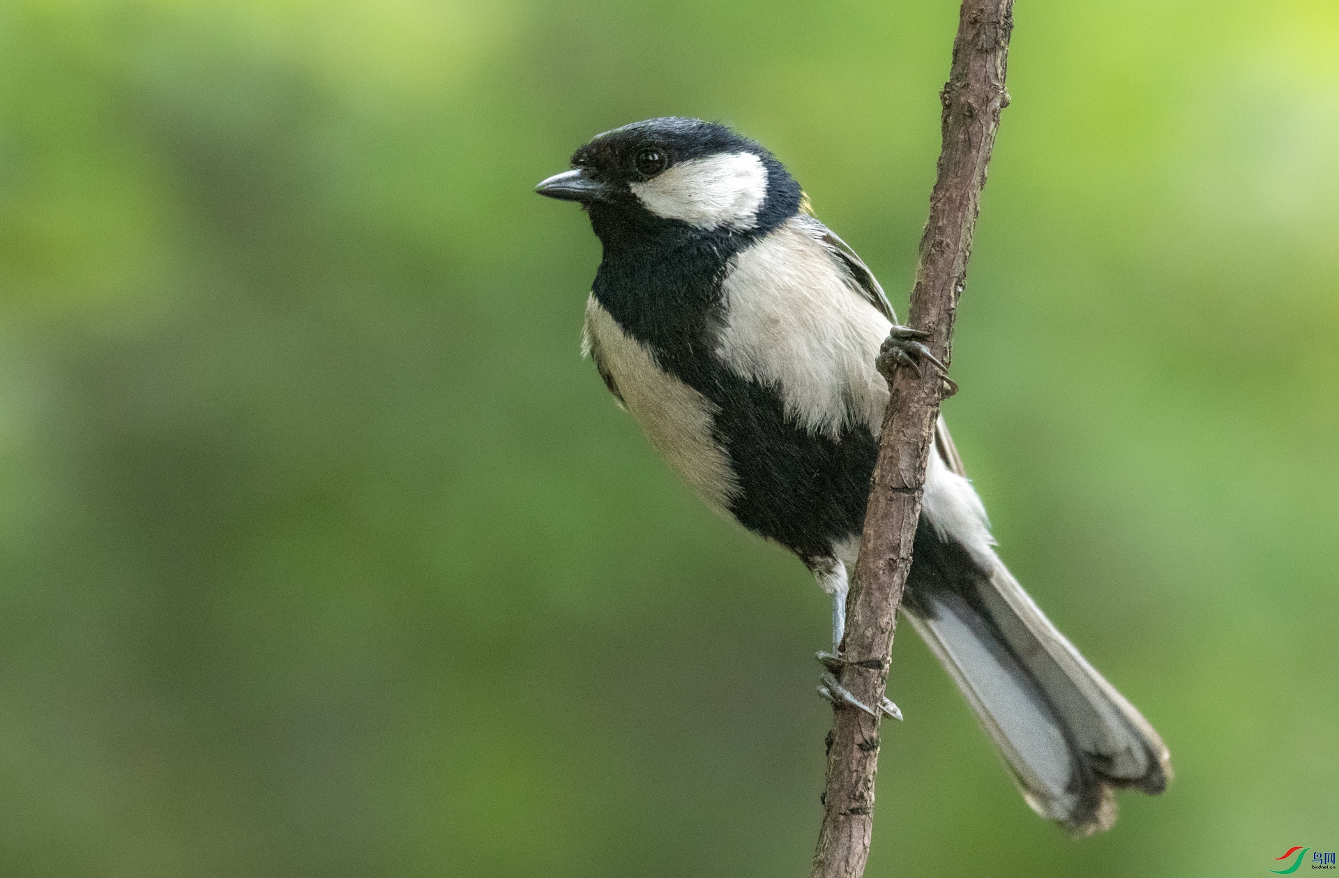 DSC_6437.jpg