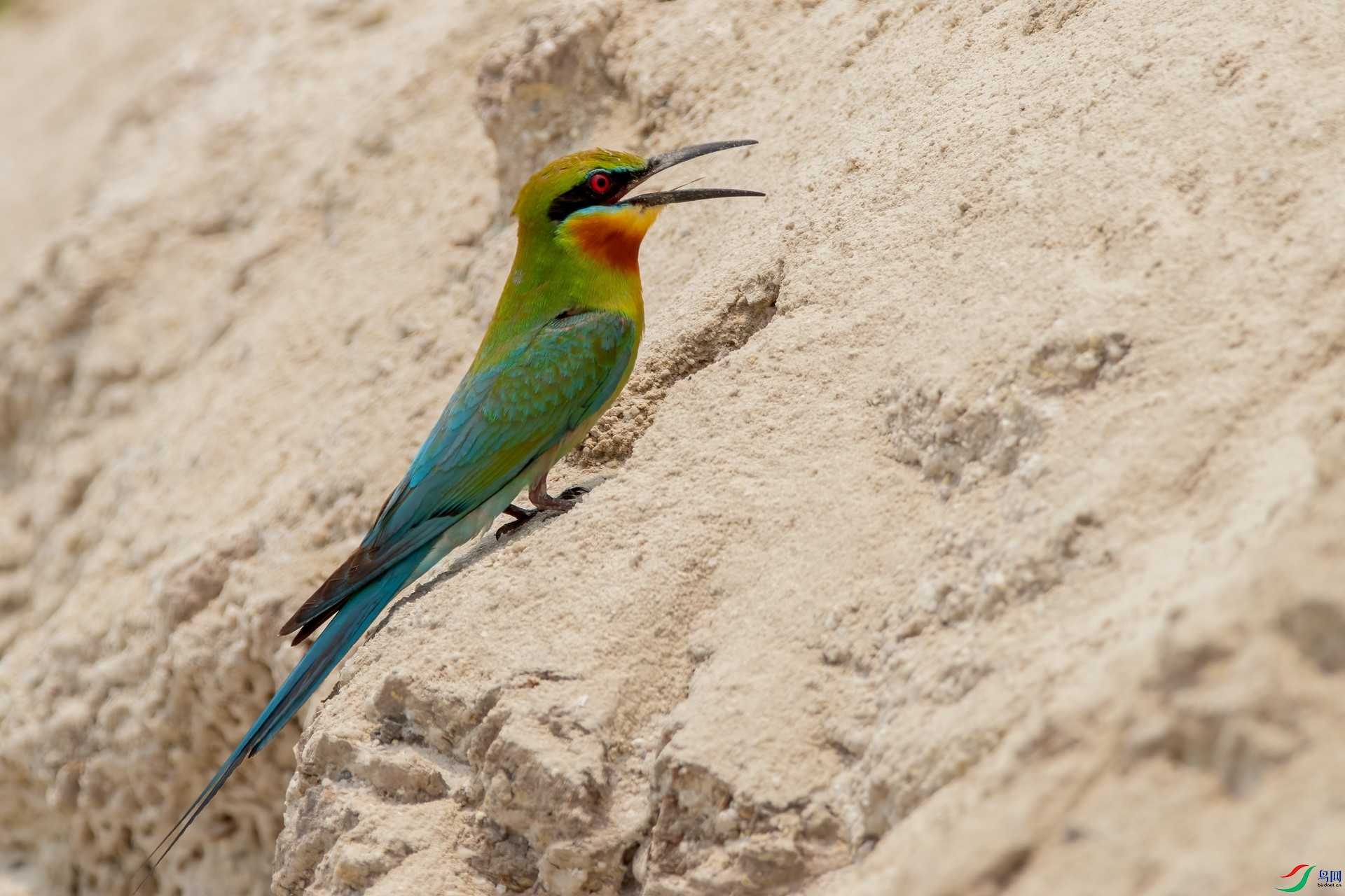 B86I5391 _����.jpg