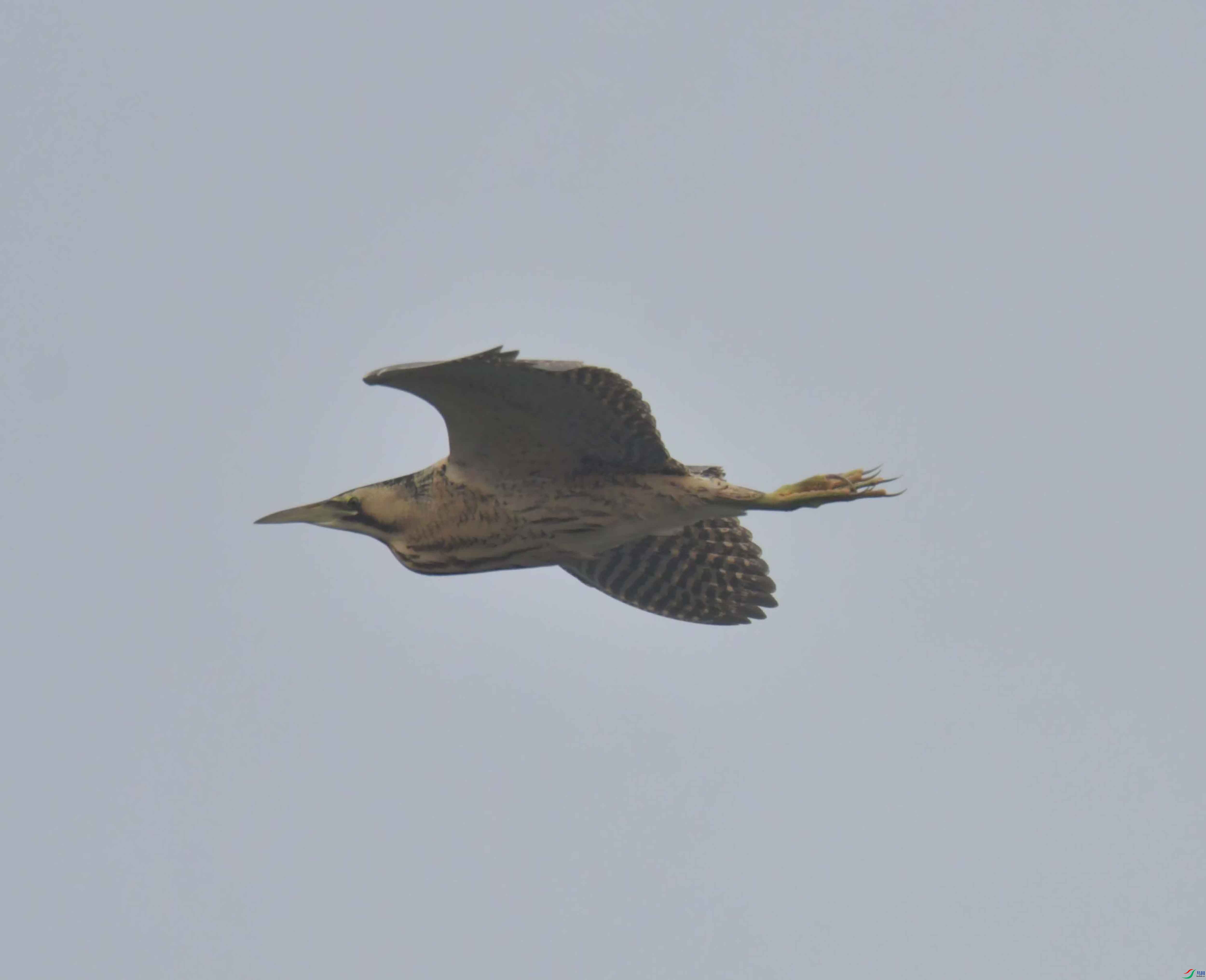 DSC_3904.JPG