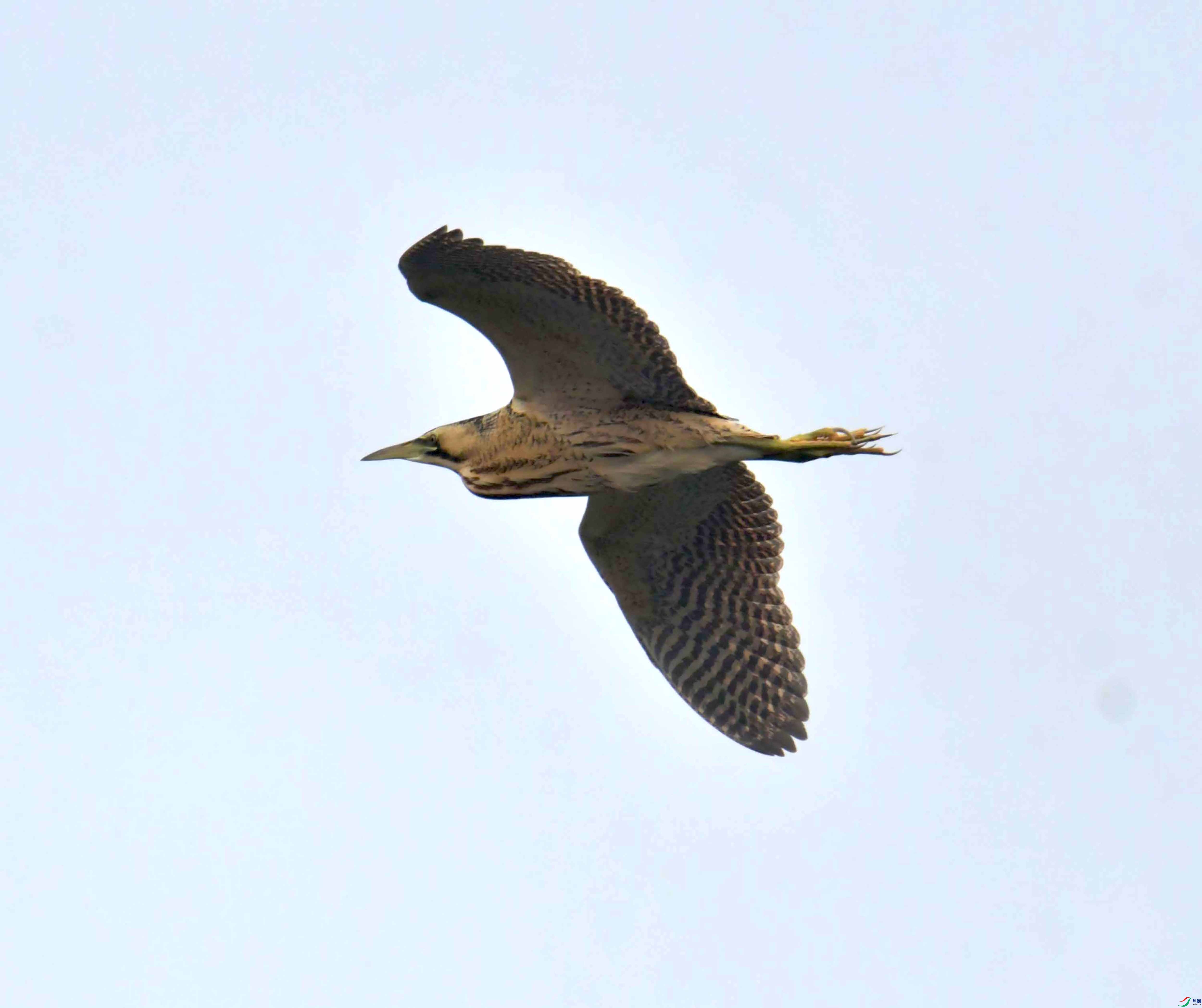 DSC_3907.JPG