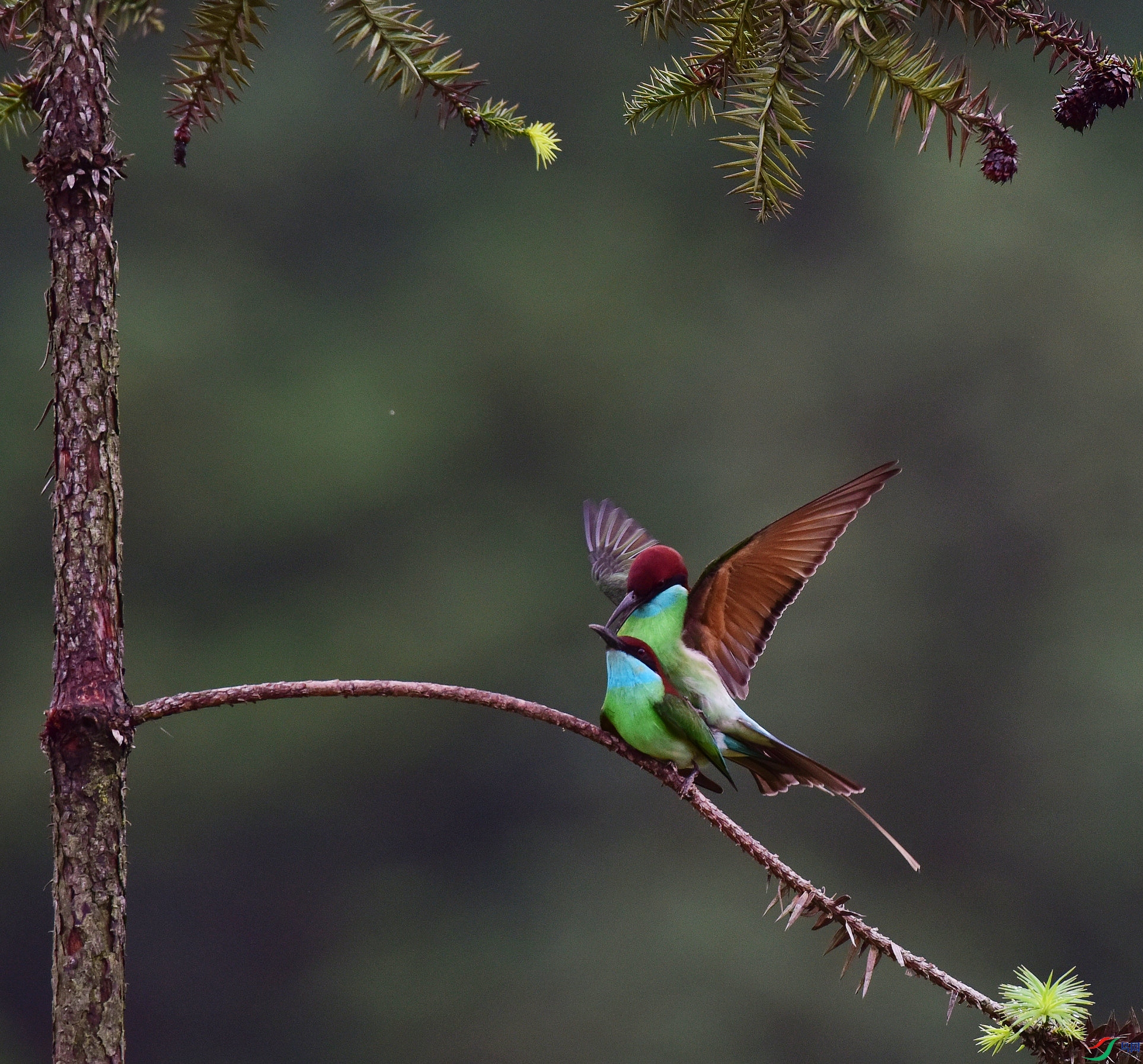 D8I_0159.jpg