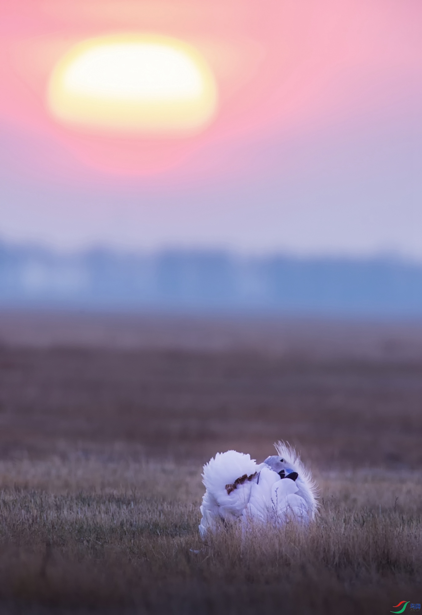 ���