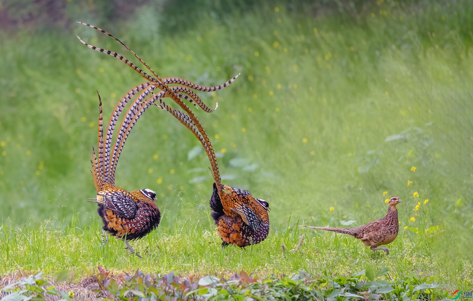 0D7A2031 ����.jpg