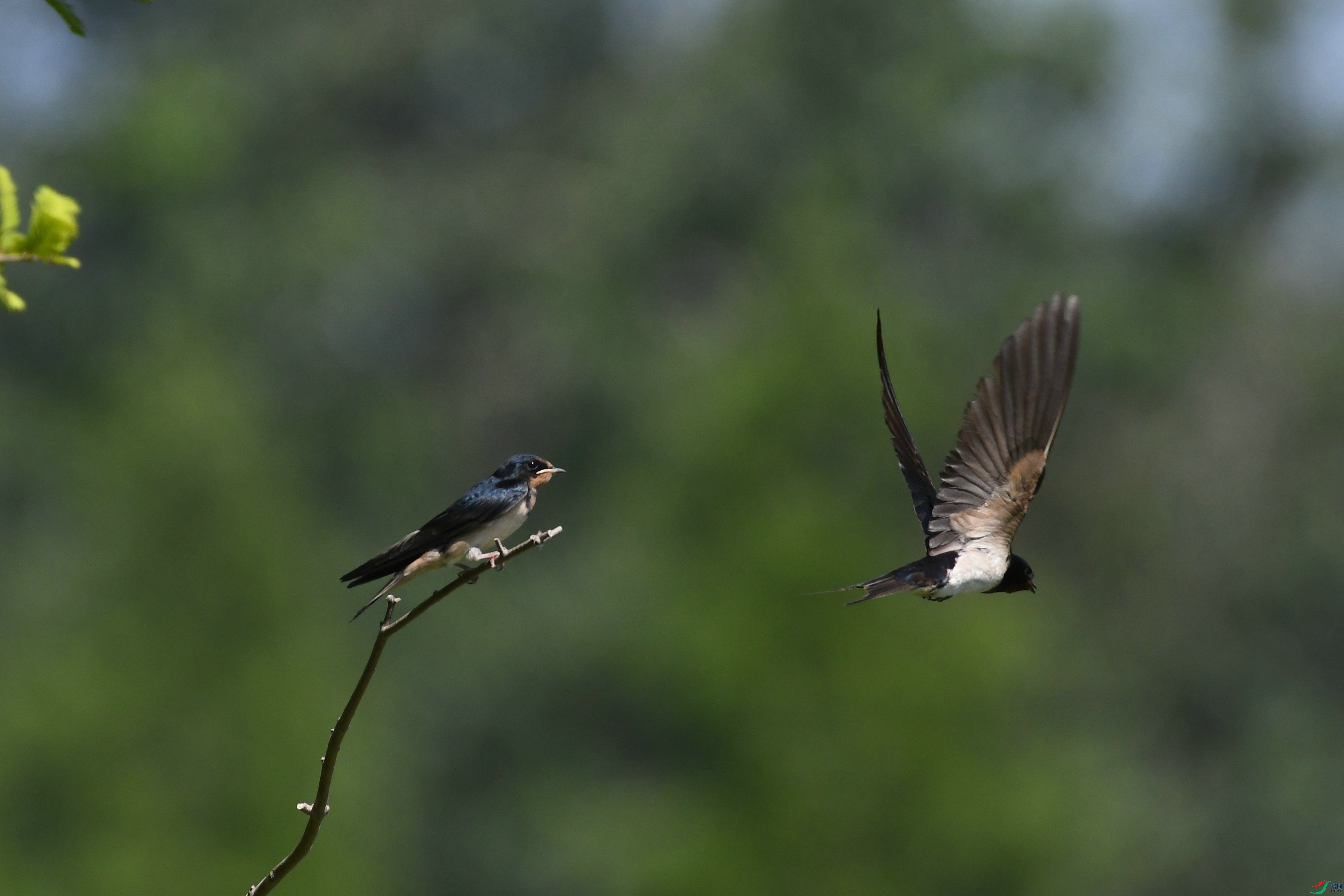 DSC_0350.JPG