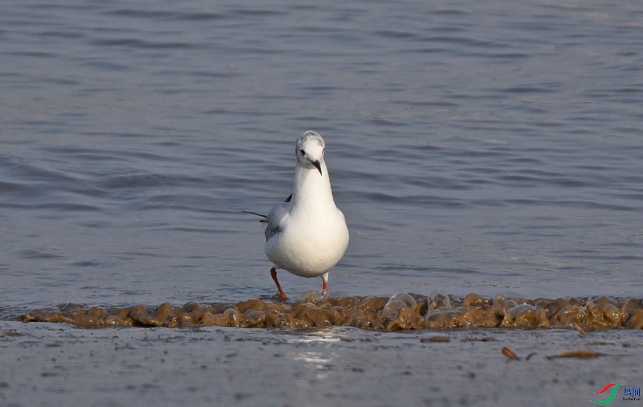 DSC_0576.jpg