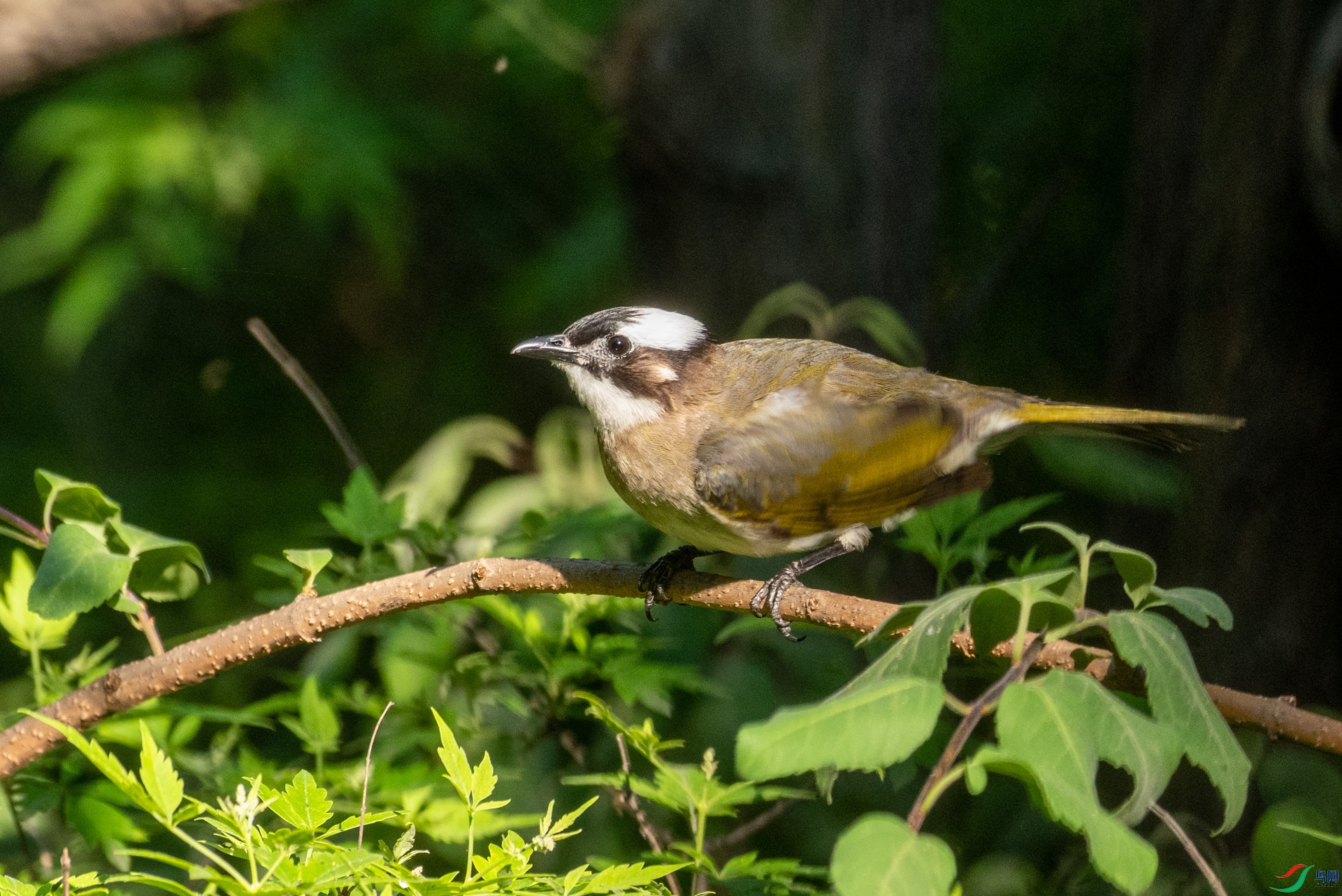 DSC_7167.jpg