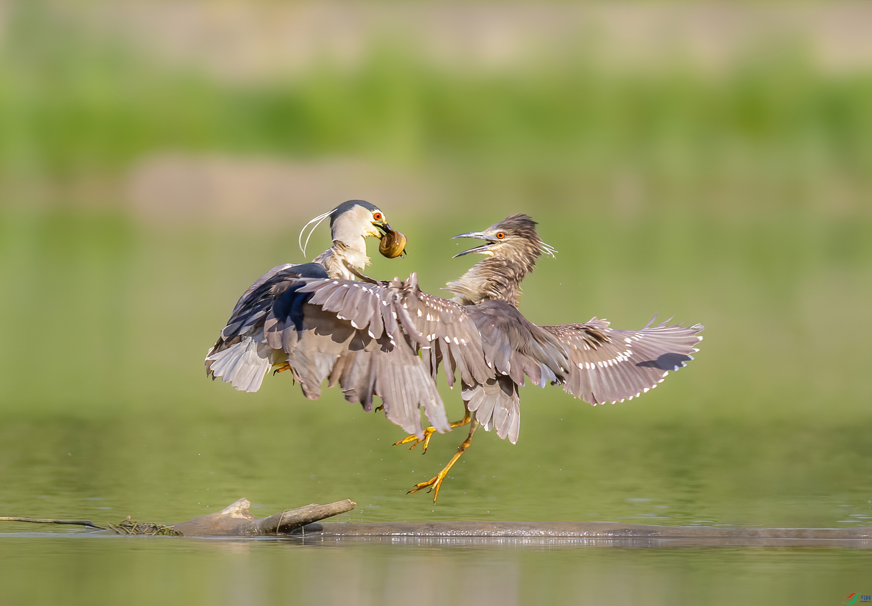 _JLN3572 ����OK.jpg