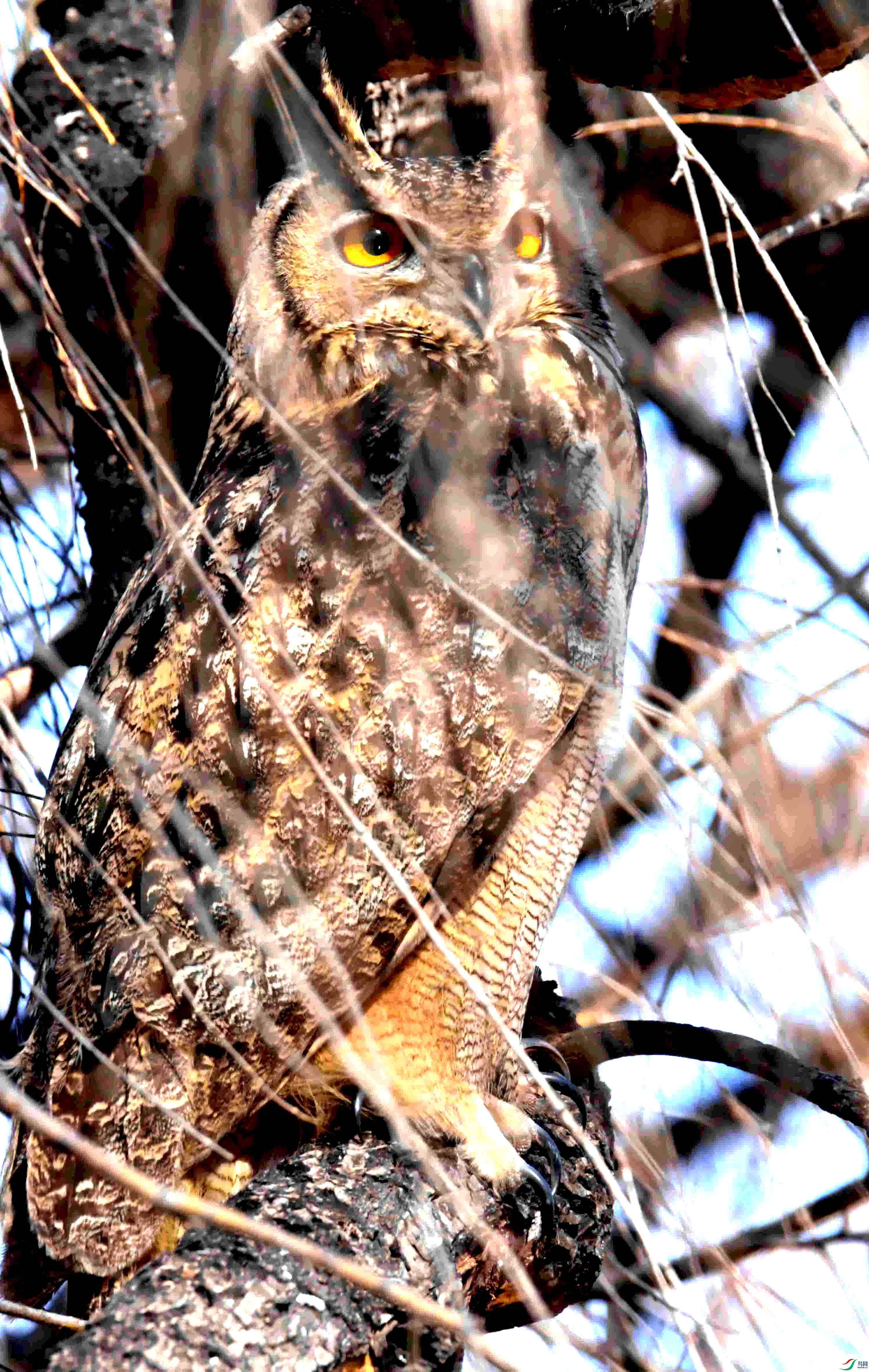 DSC_6114.JPG