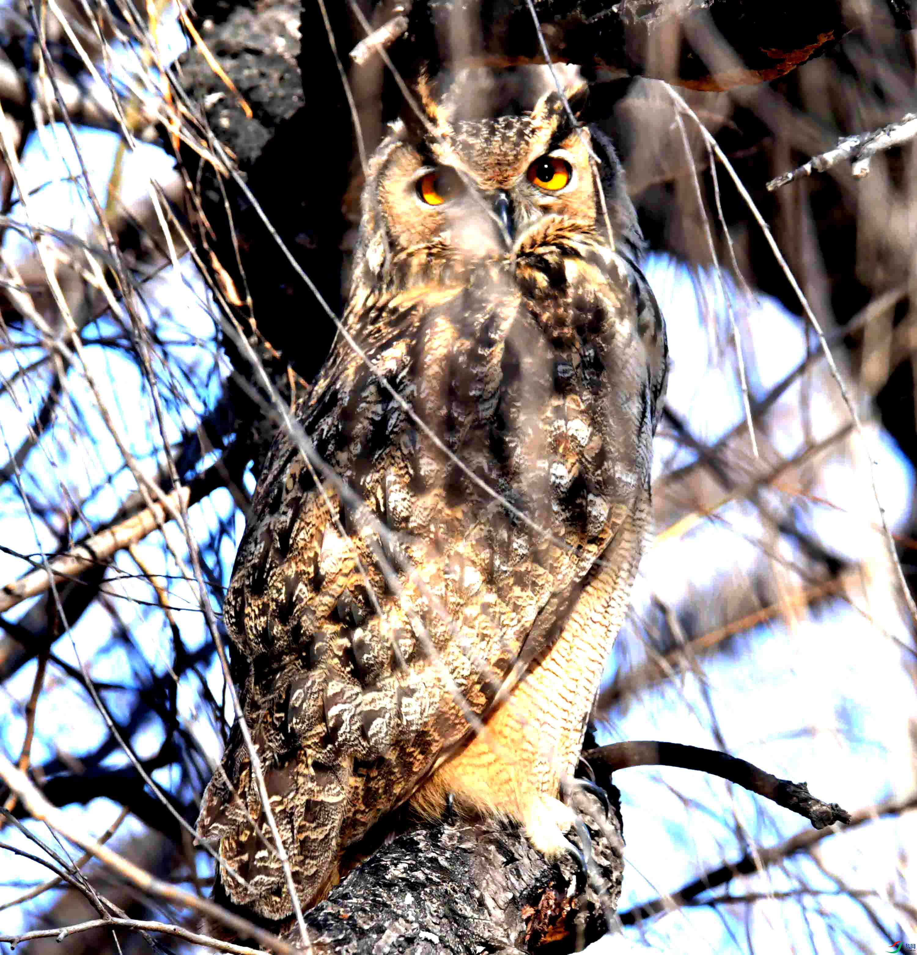 DSC_6129.JPG