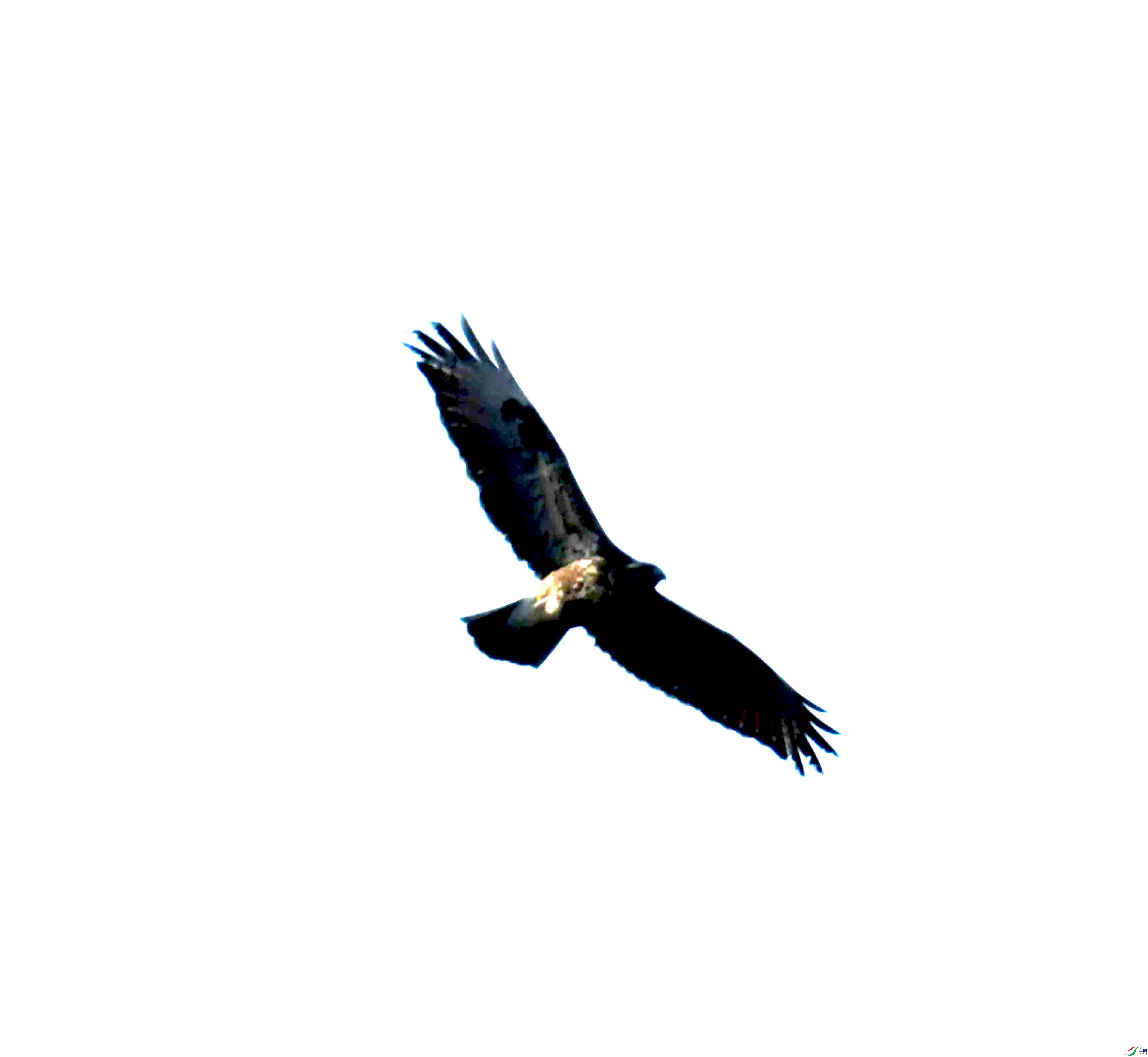 DSC_1016.JPG
