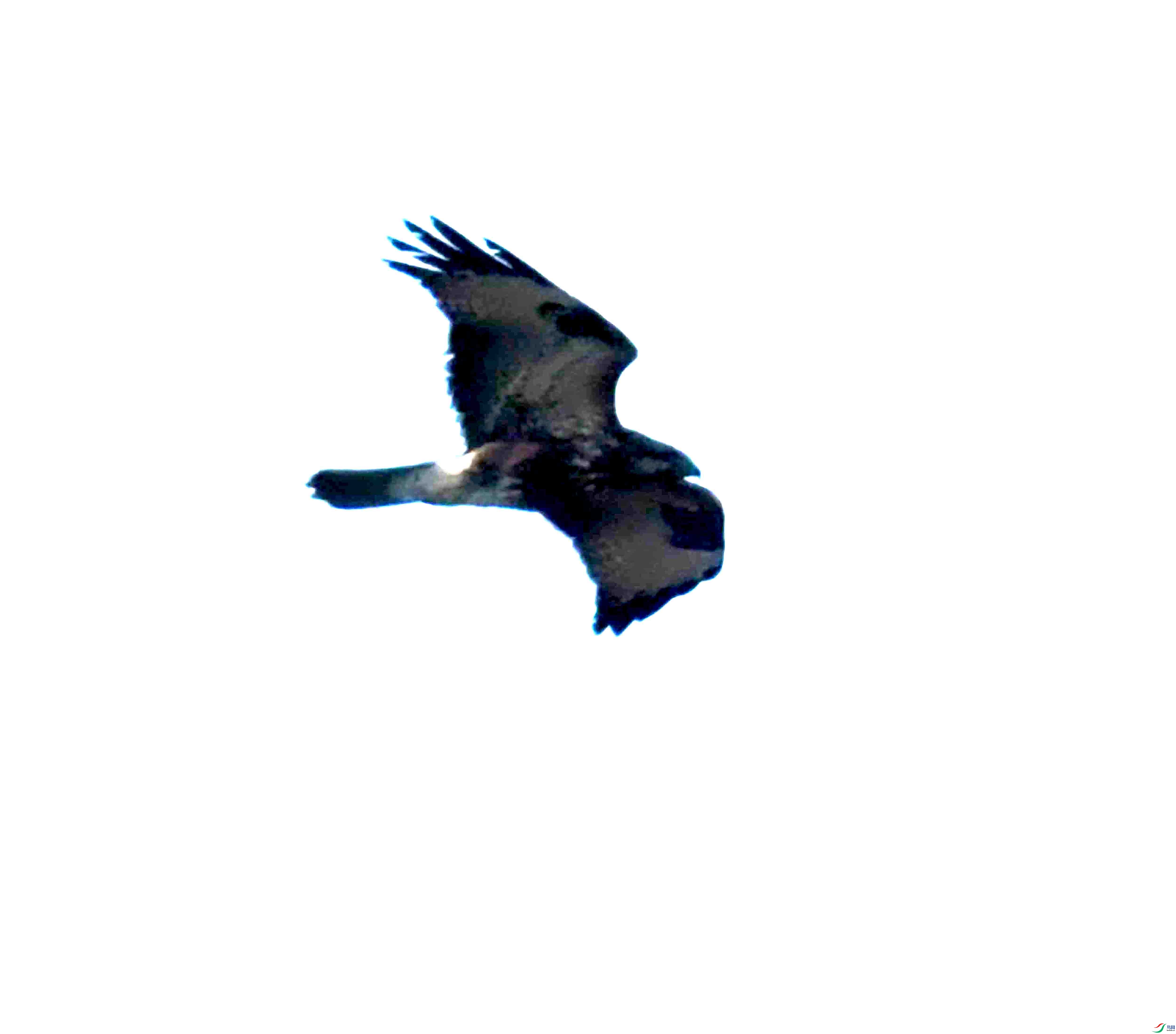 DSC_1034.JPG