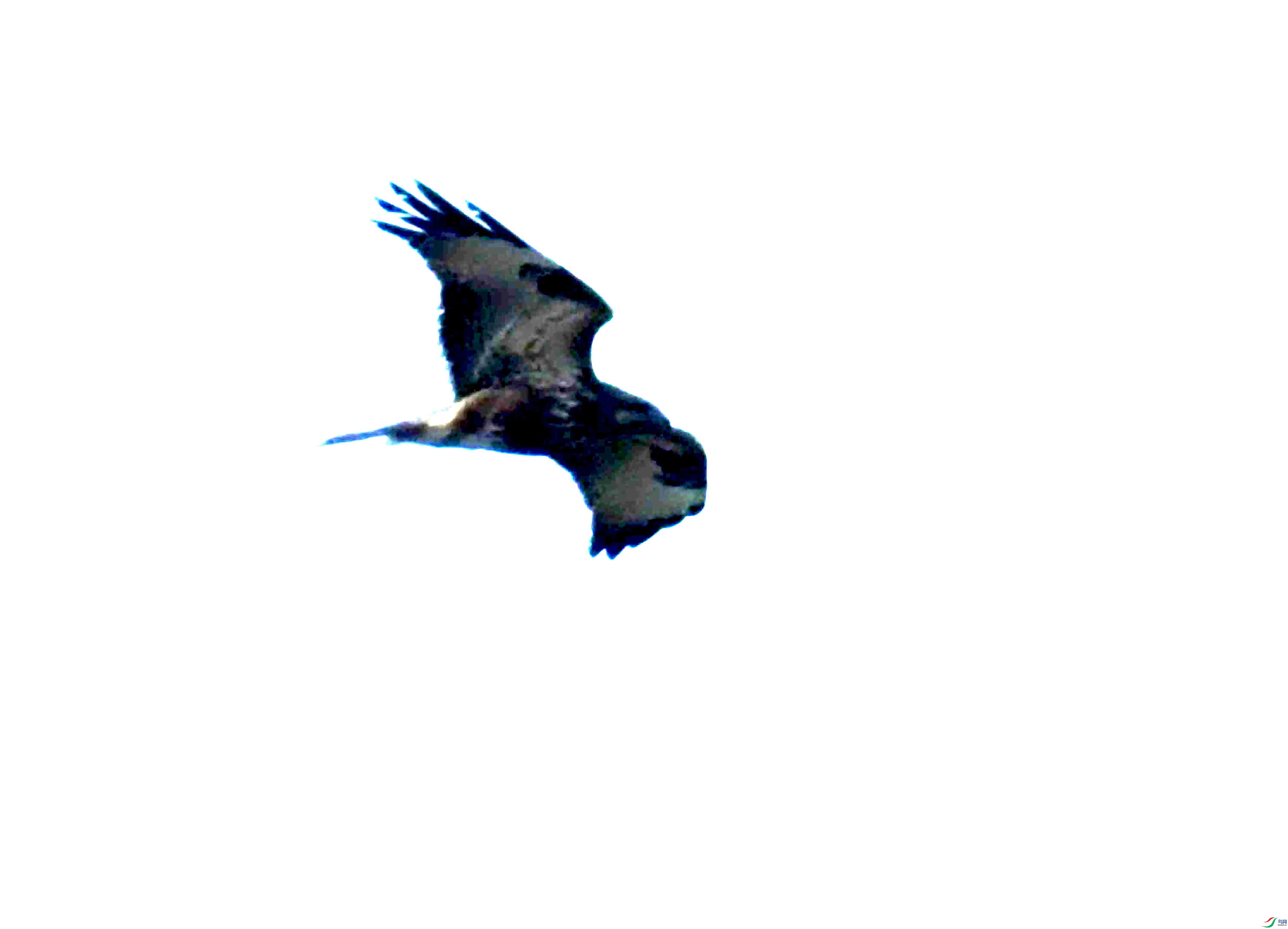 DSC_1033.JPG