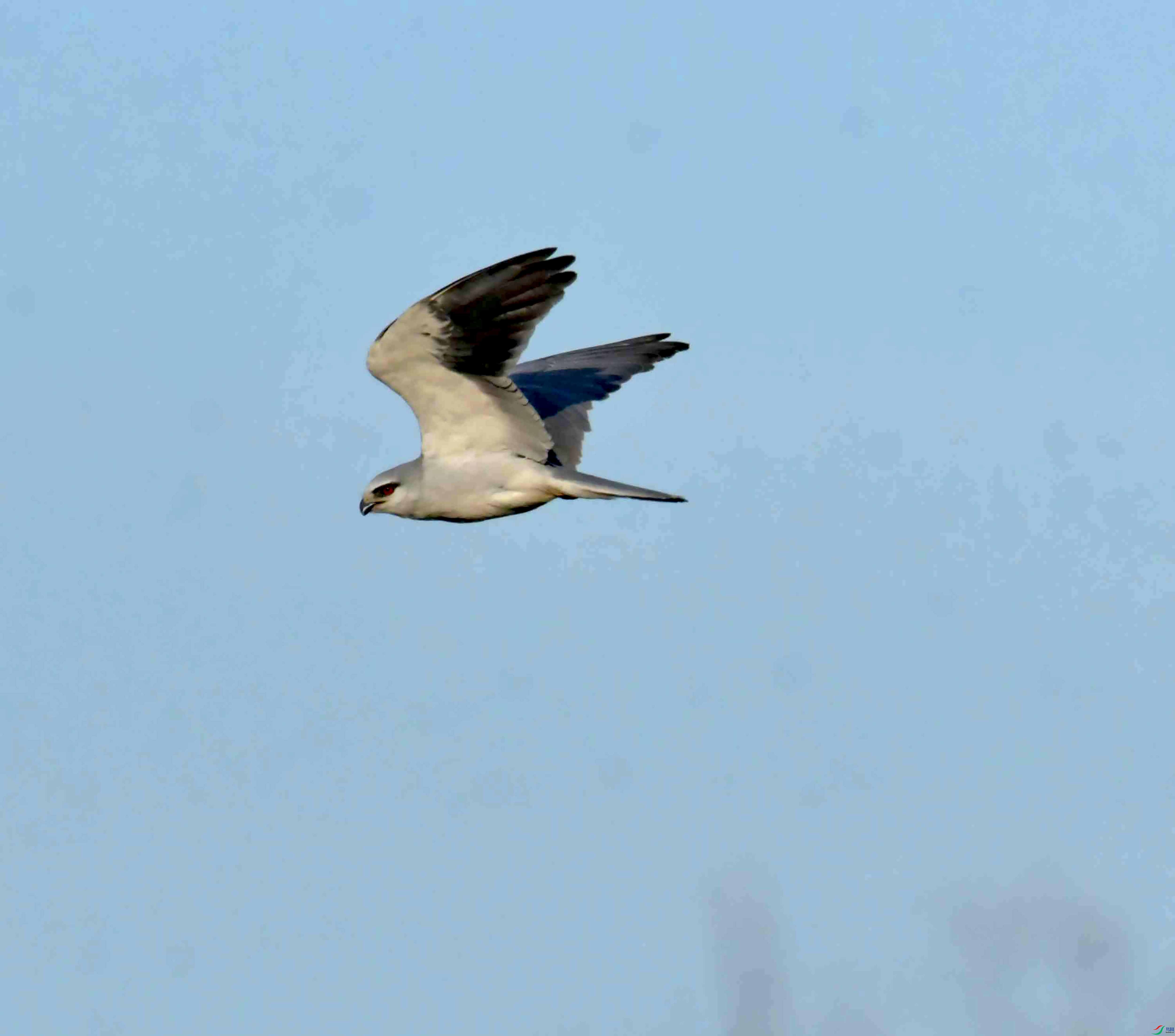 DSC_0490.JPG