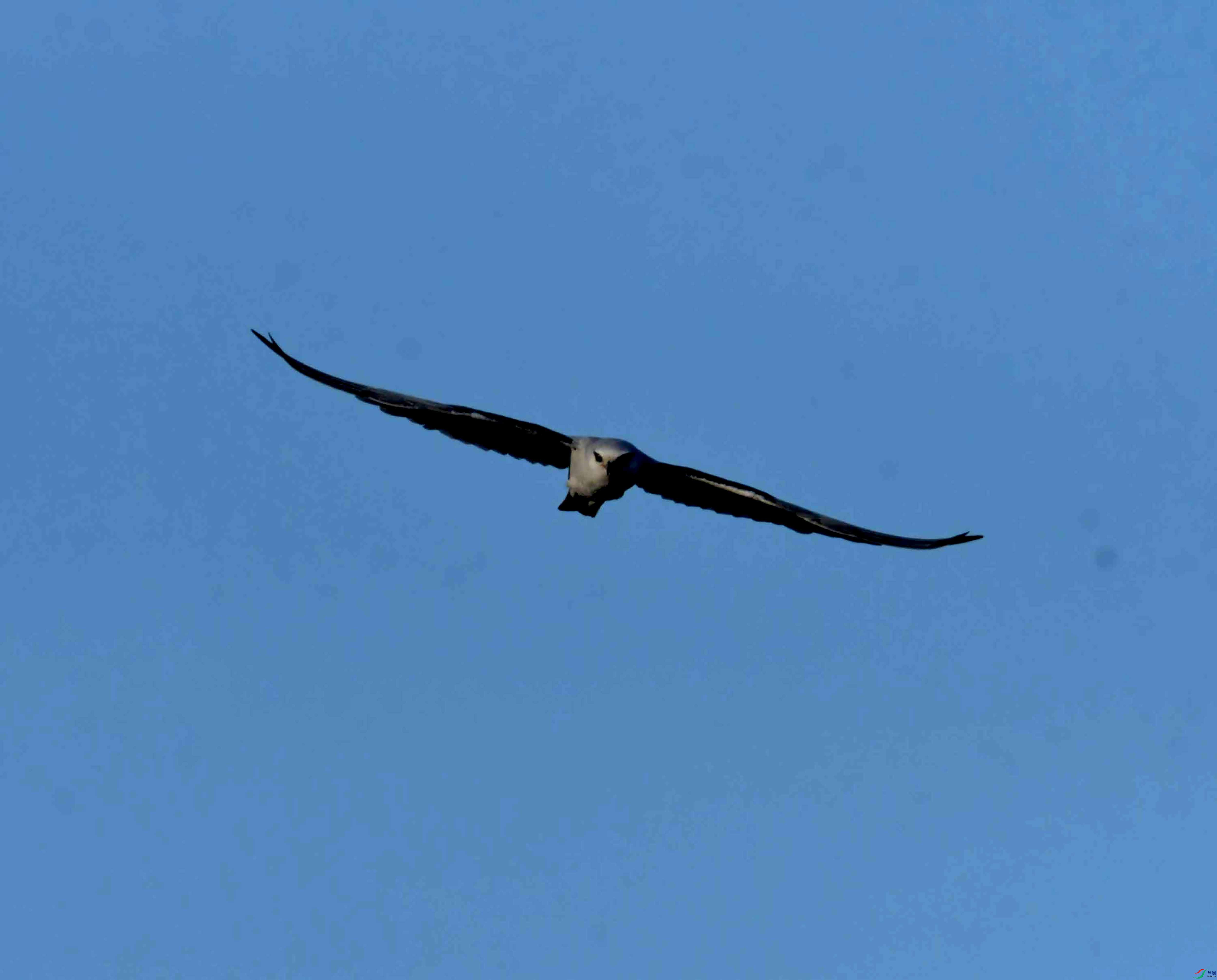 DSC_0496.JPG