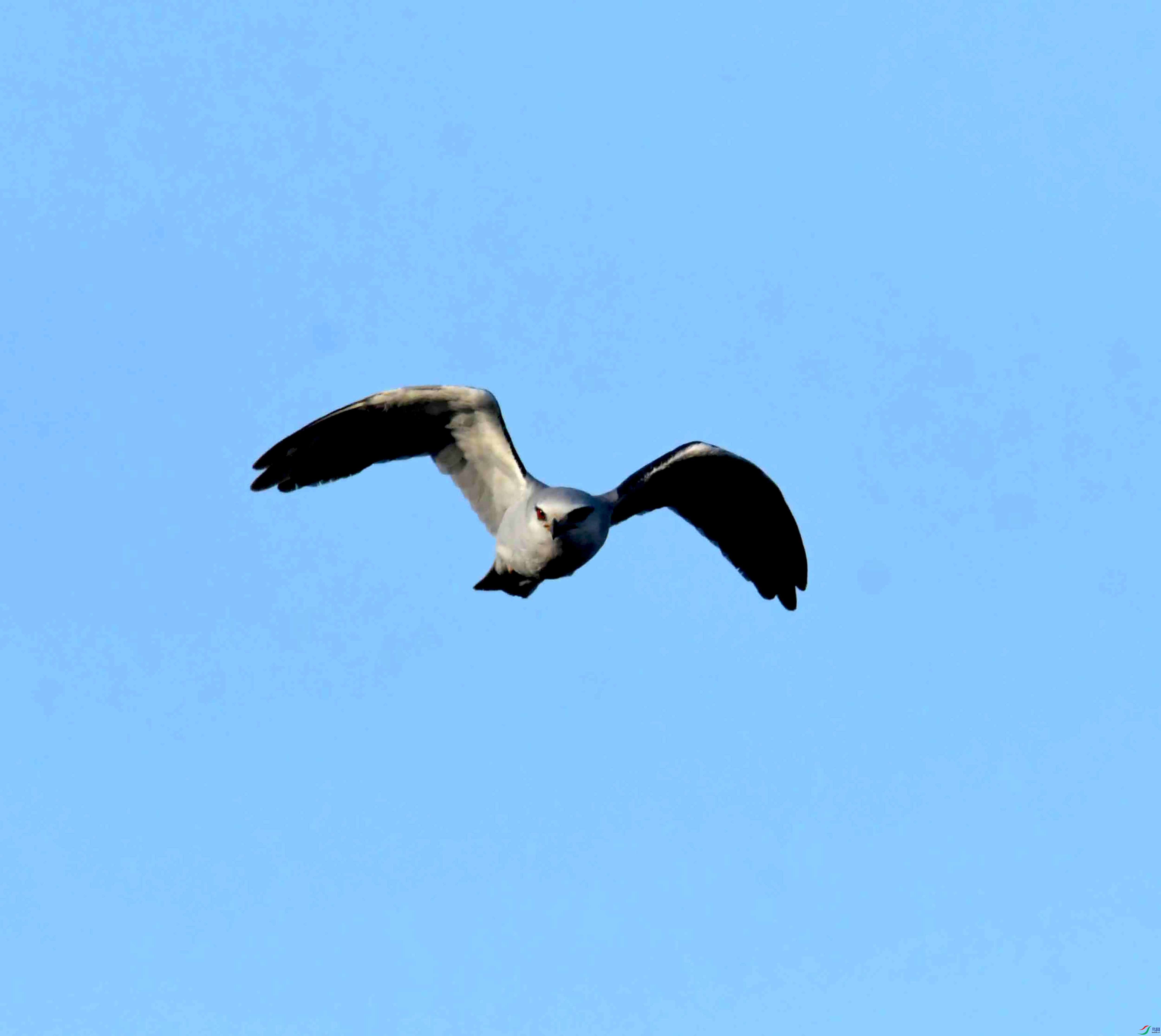 DSC_0497.JPG