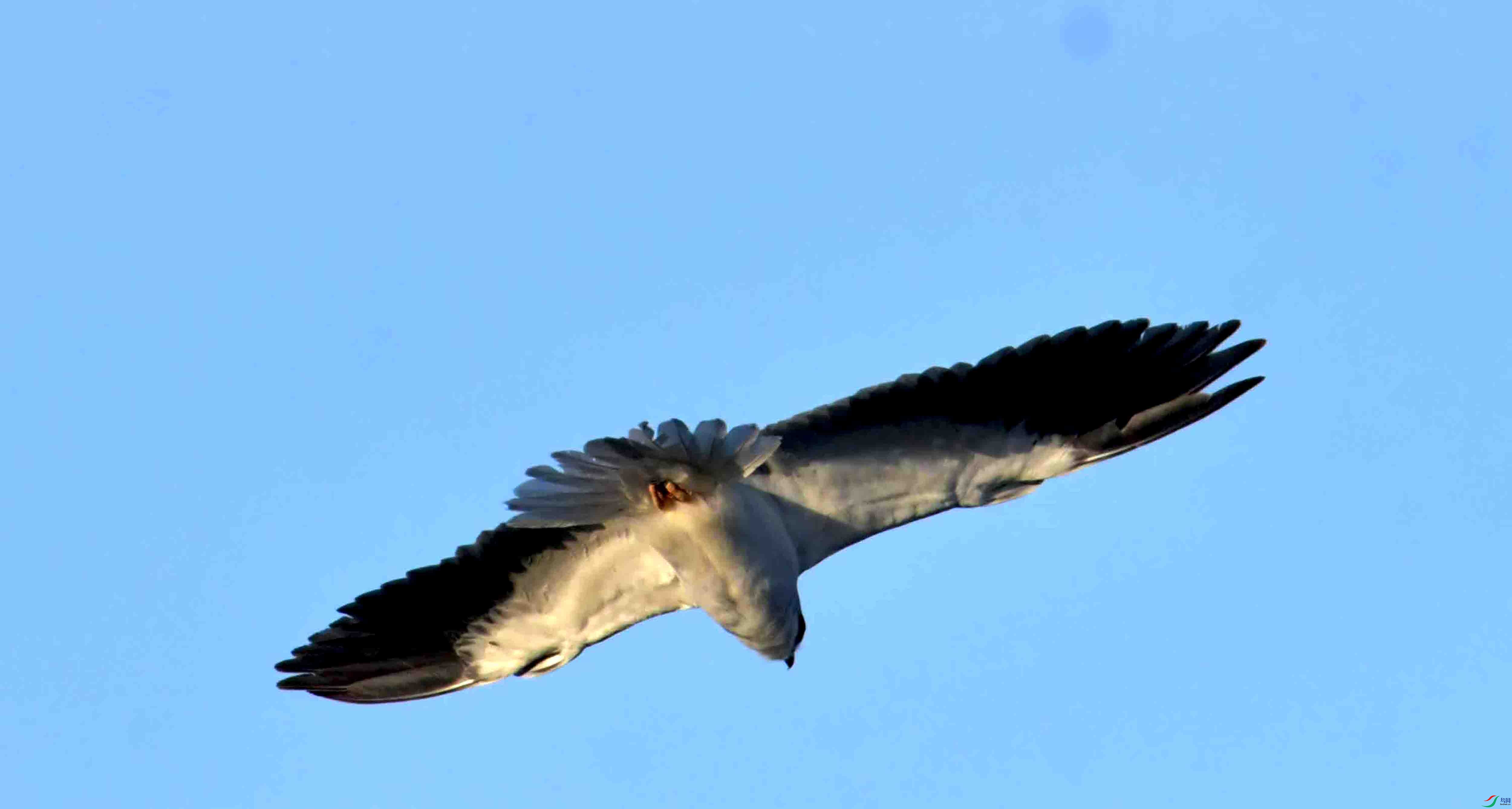 DSC_0507.JPG