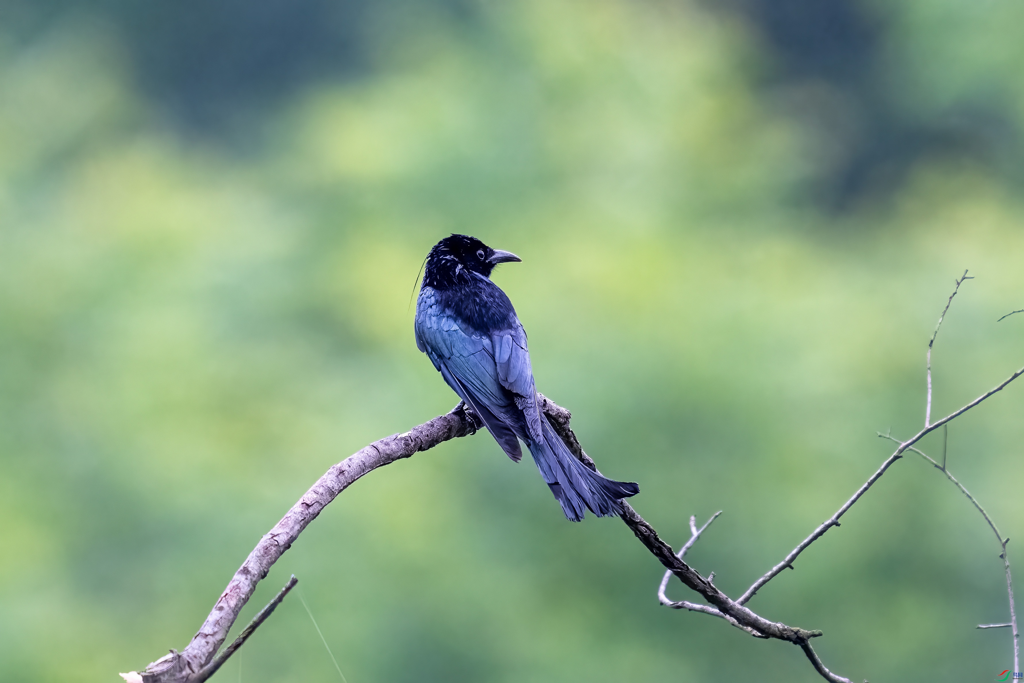 DSC_1328.jpg