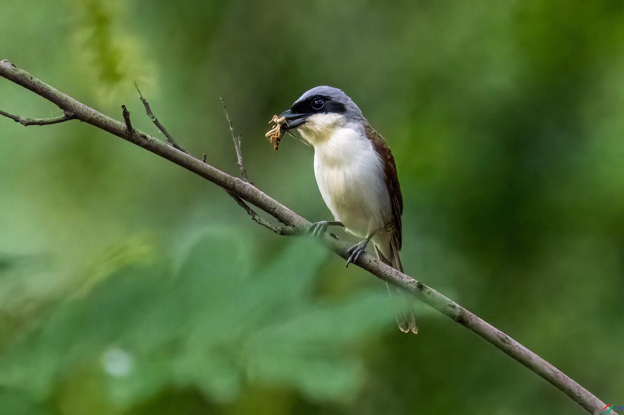 DSC_7745.jpg
