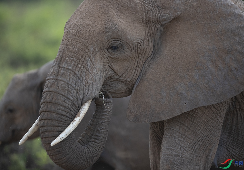 ���� (10).jpg