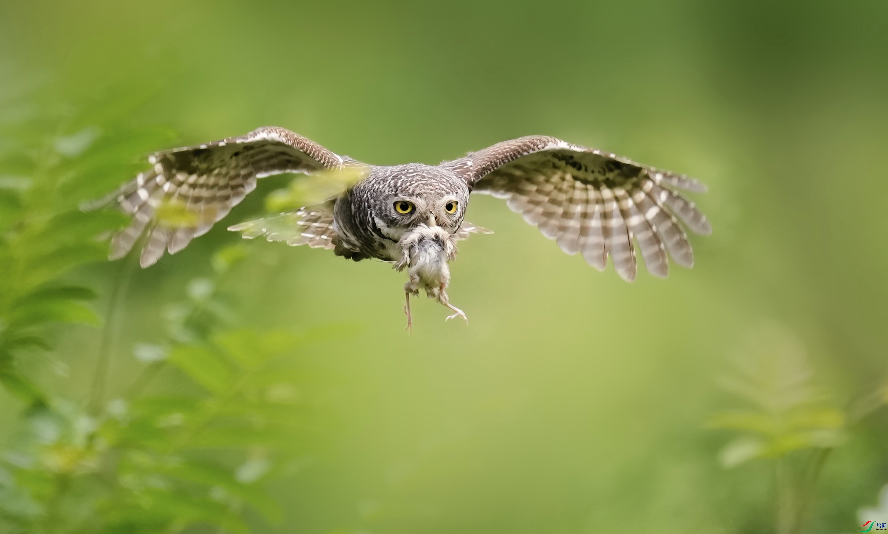 17C3E789-36BB-4C3E-899B-246BA5F9819F.jpeg