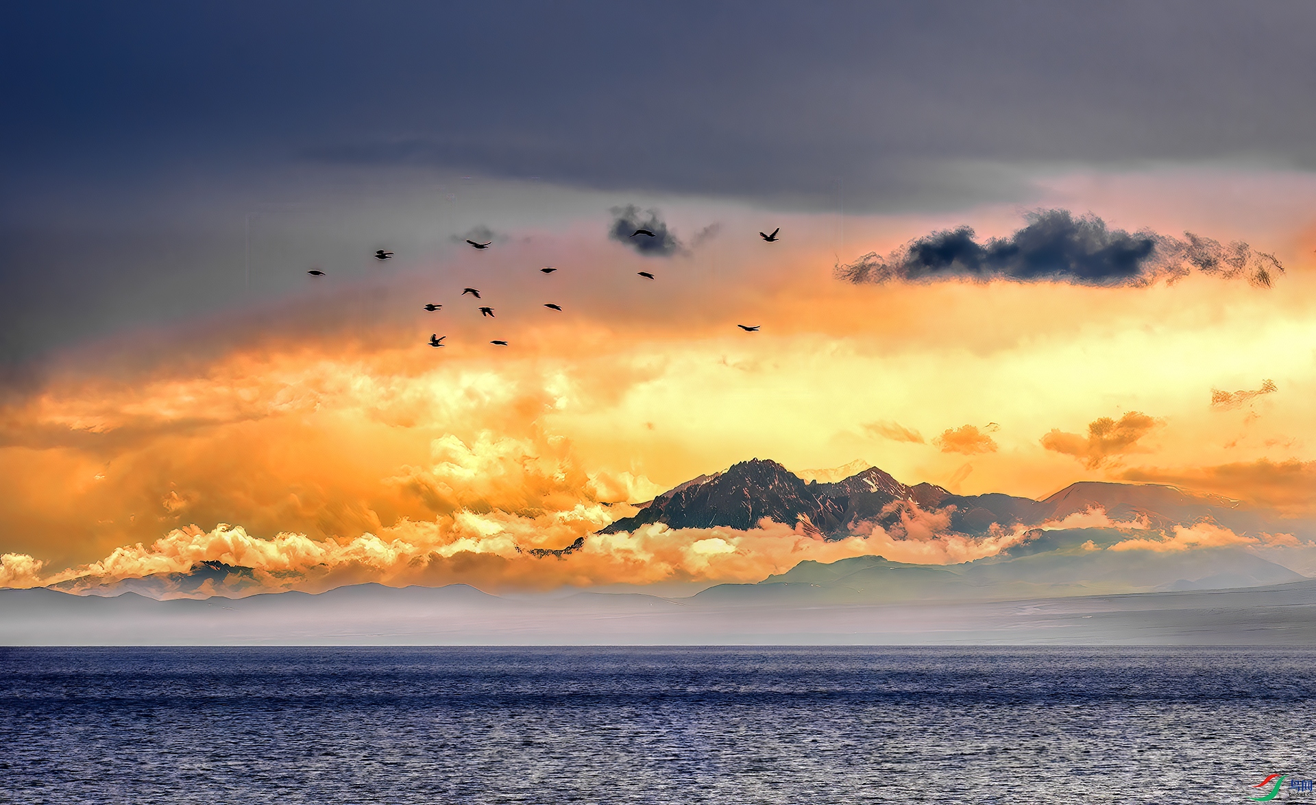 _DSC9571 - ����ľ�� - AAA.jpg