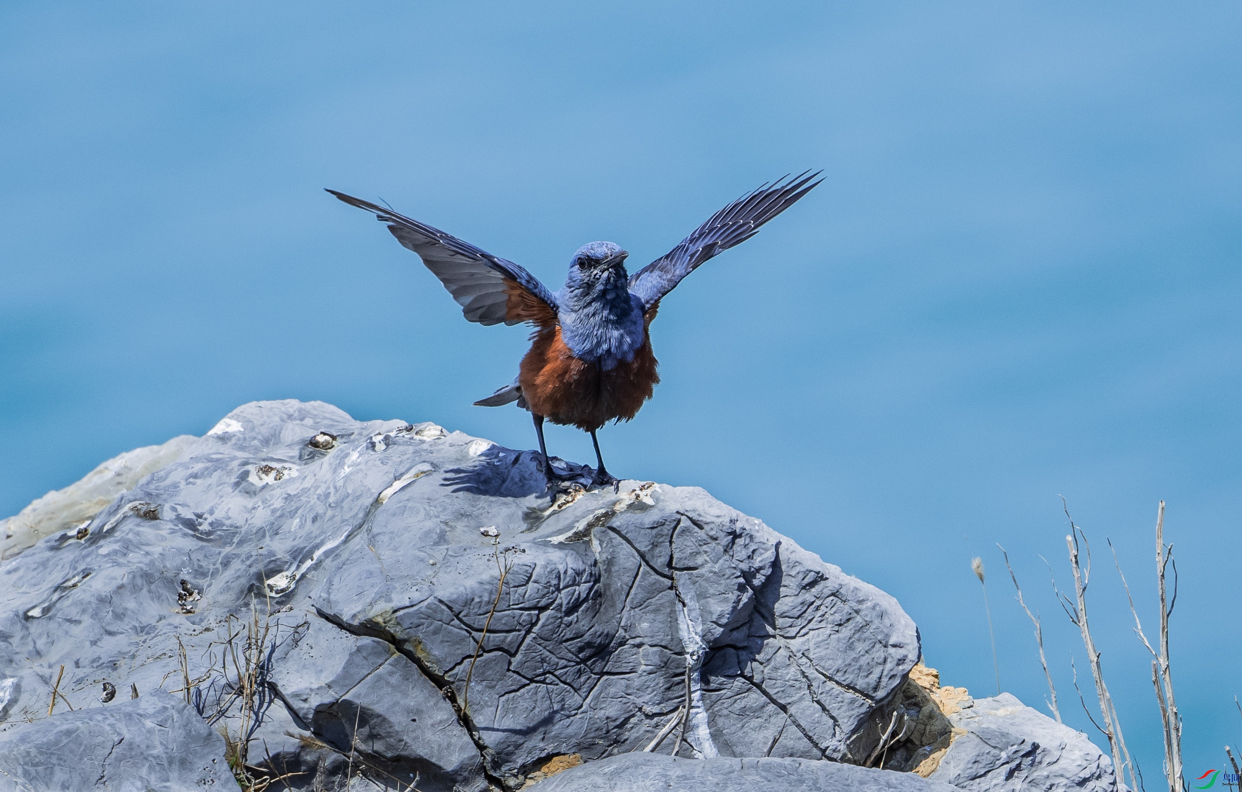 �������